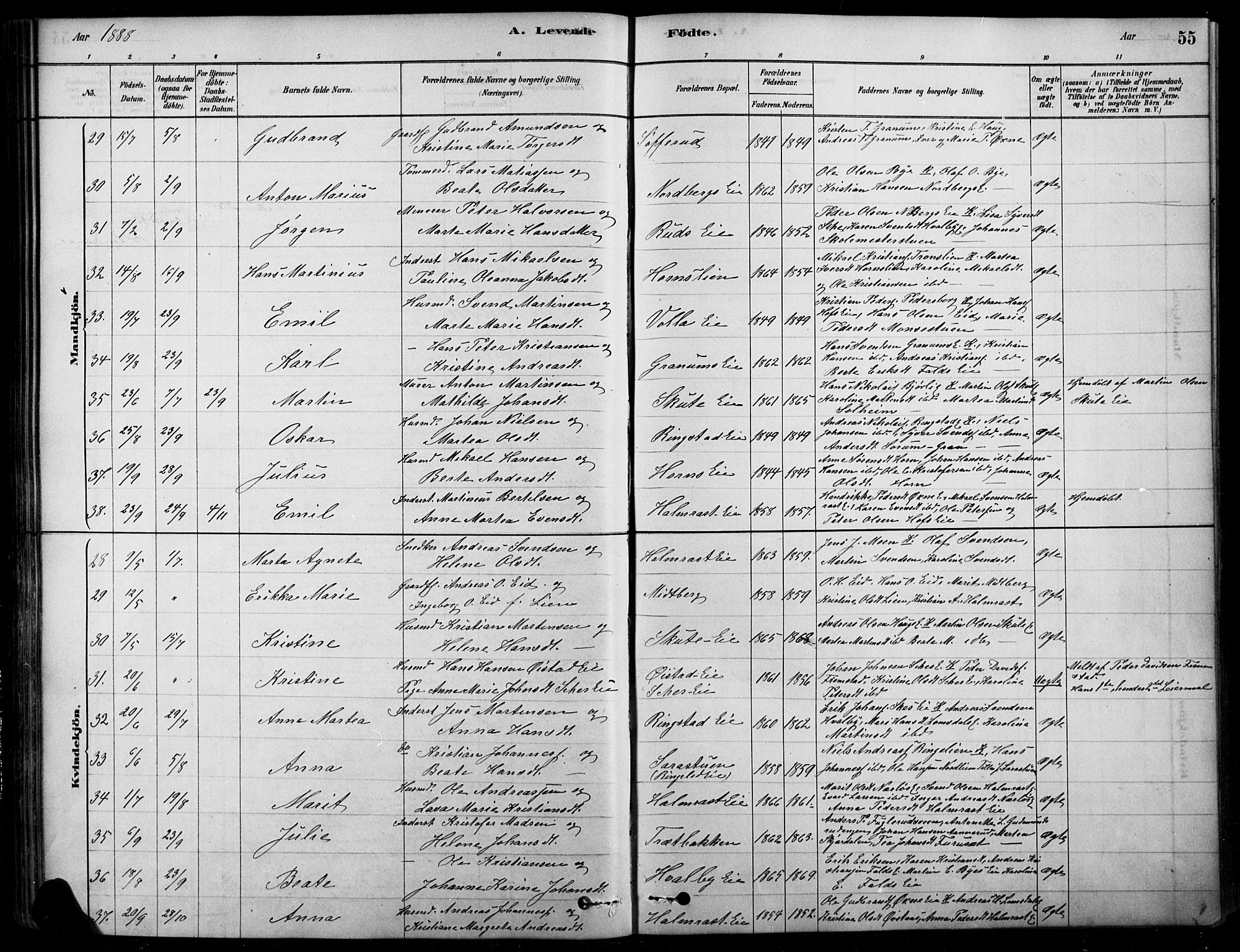 Søndre Land prestekontor, SAH/PREST-122/K/L0003: Parish register (official) no. 3, 1878-1894, p. 55