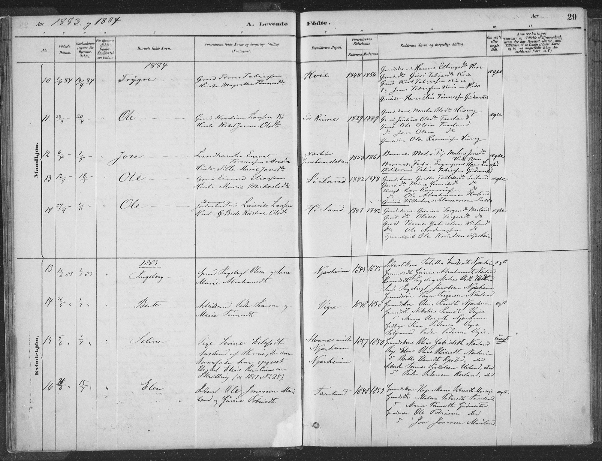 Hå sokneprestkontor, SAST/A-101801/001/30BA/L0010: Parish register (official) no. A 9, 1879-1896, p. 29