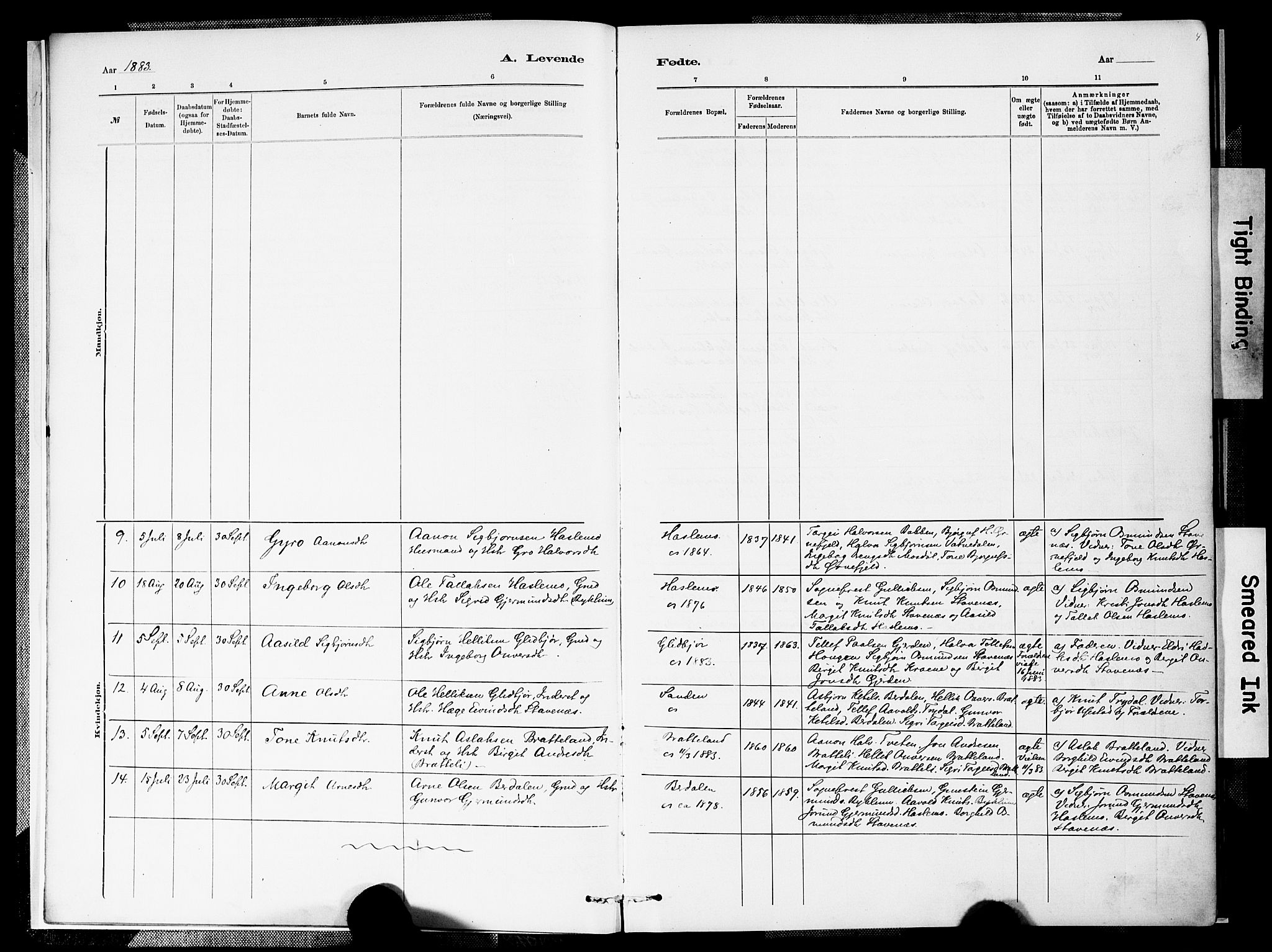 Valle sokneprestkontor, SAK/1111-0044/F/Fa/Faa/L0001: Parish register (official) no. A 1, 1882-1907, p. 4