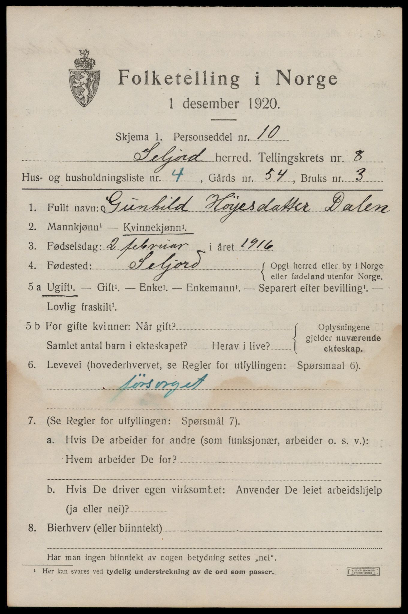 SAKO, 1920 census for Seljord, 1920, p. 3958