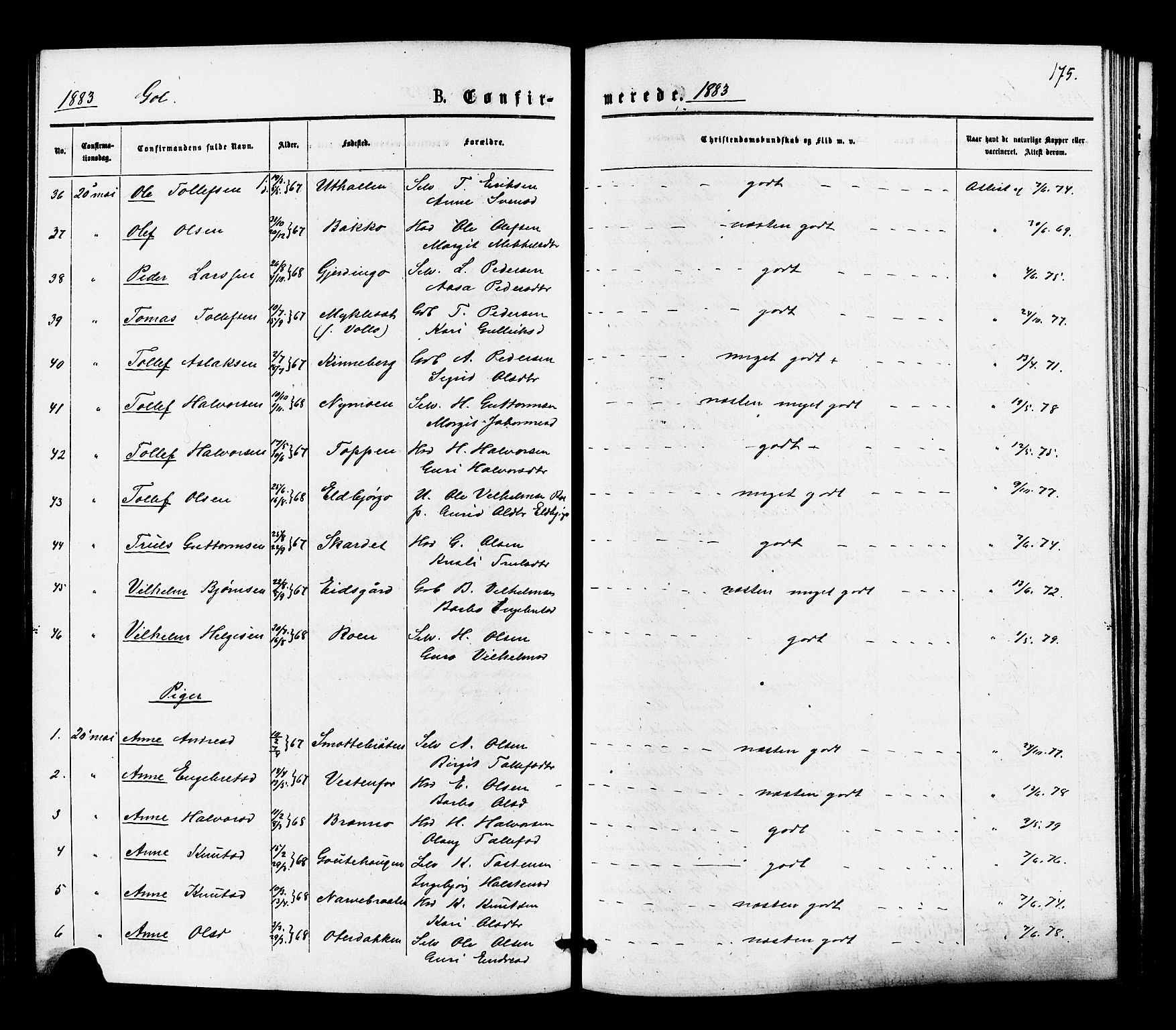 Gol kirkebøker, SAKO/A-226/F/Fa/L0004: Parish register (official) no. I 4, 1876-1886, p. 175
