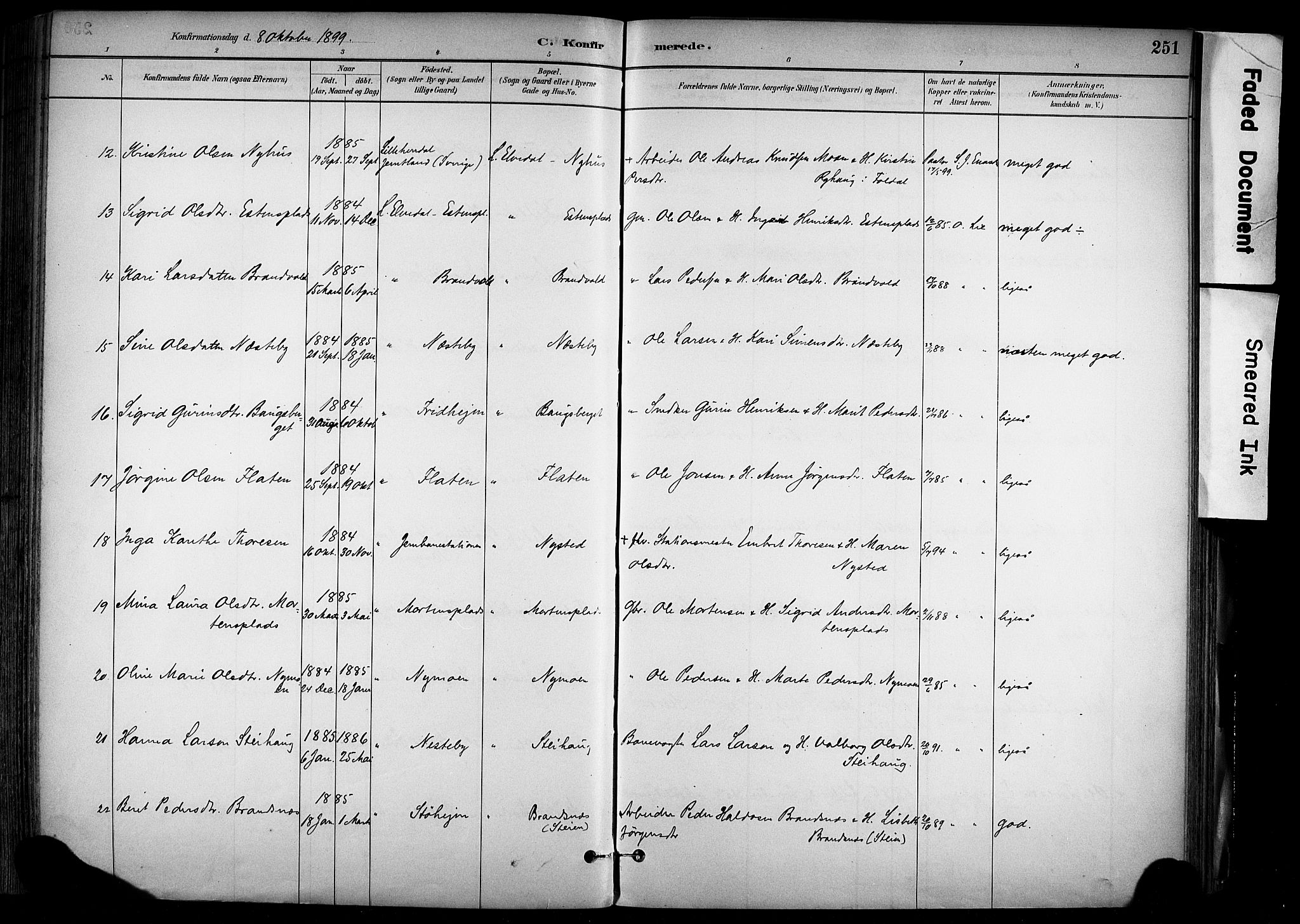 Alvdal prestekontor, AV/SAH-PREST-060/H/Ha/Haa/L0002: Parish register (official) no. 2, 1883-1906, p. 251