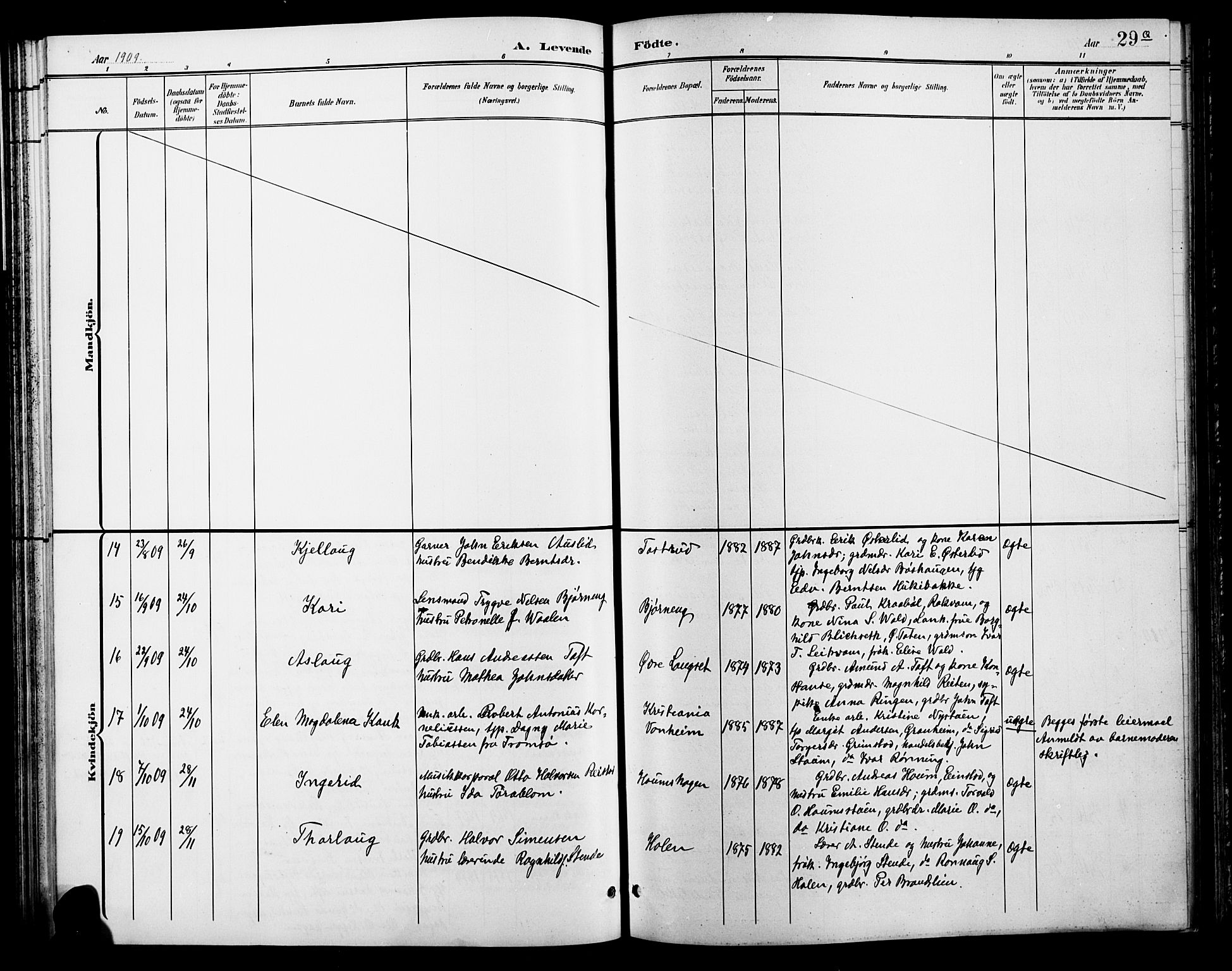 Østre Gausdal prestekontor, AV/SAH-PREST-092/H/Ha/Hab/L0003: Parish register (copy) no. 3, 1894-1915, p. 29q