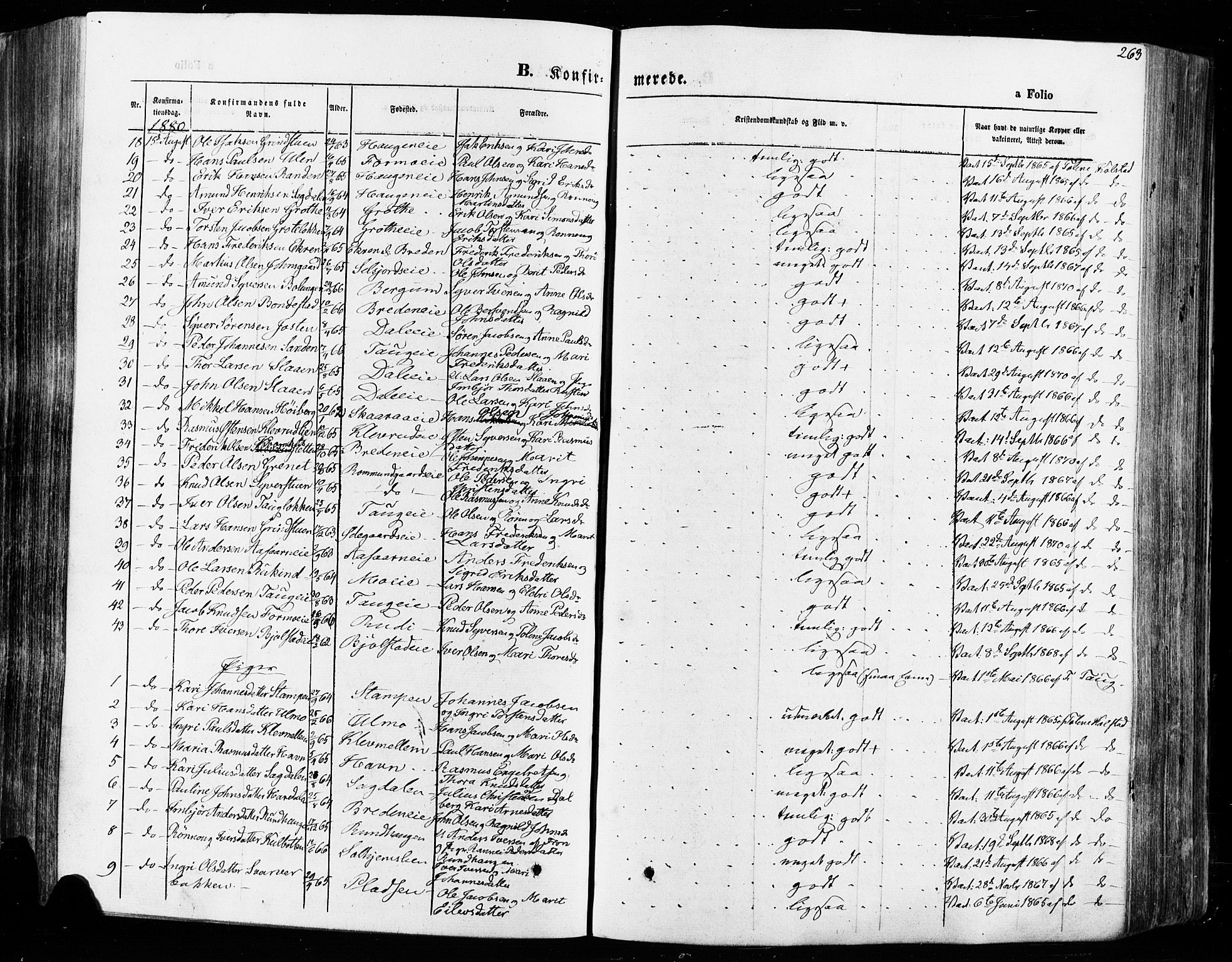 Vågå prestekontor, SAH/PREST-076/H/Ha/Haa/L0007: Parish register (official) no. 7 /1, 1872-1886, p. 263