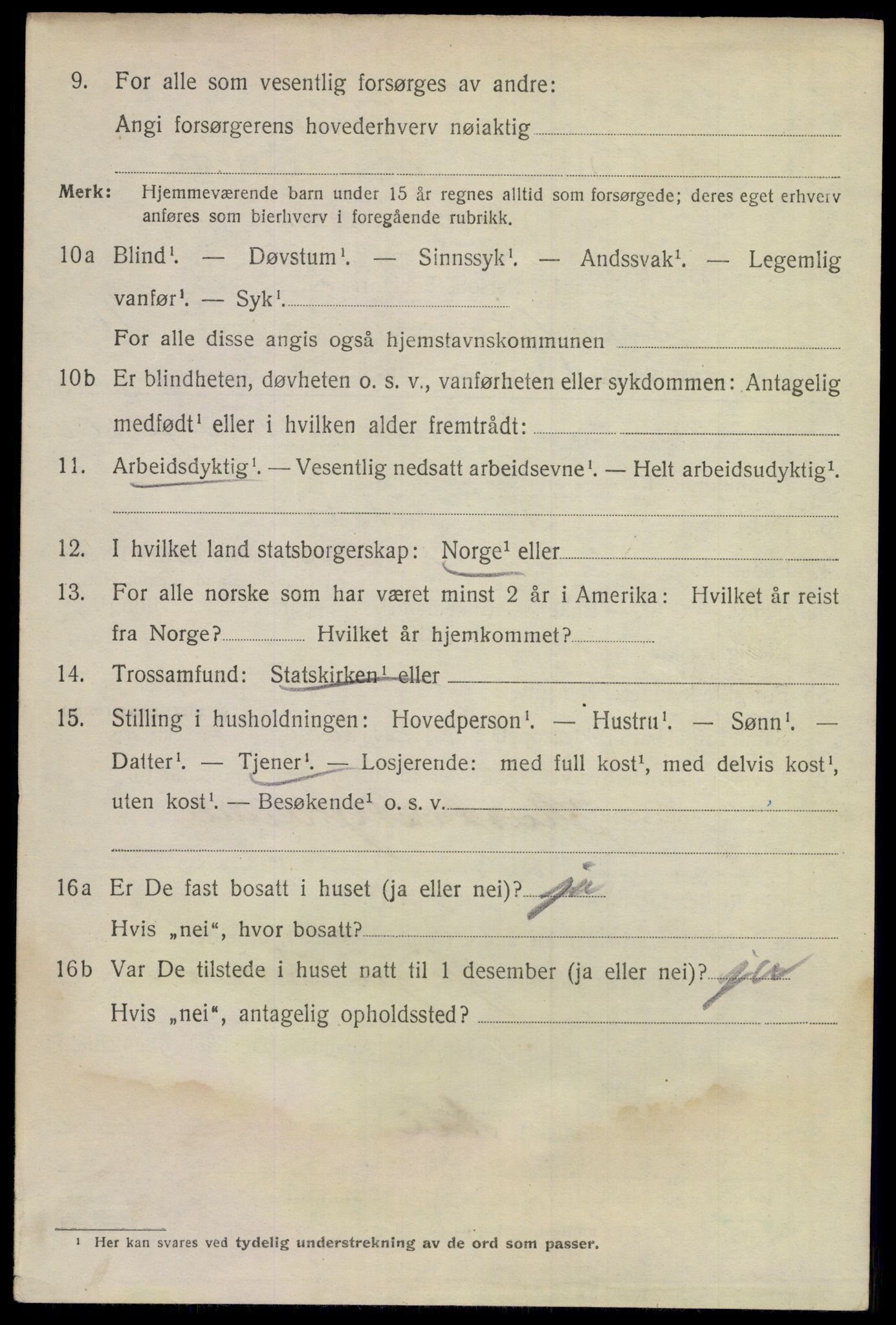 SAKO, 1920 census for Larvik, 1920, p. 29285