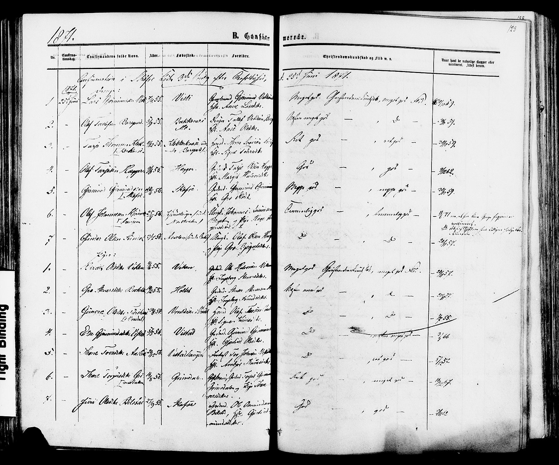 Mo kirkebøker, SAKO/A-286/F/Fa/L0006: Parish register (official) no. I 6, 1865-1885, p. 123