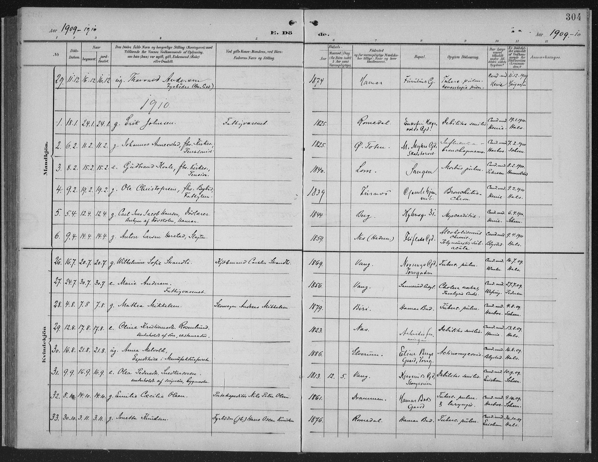 Hamar prestekontor, SAH/DOMPH-002/H/Ha/Haa/L0001: Parish register (official) no. 1, 1900-1914, p. 304