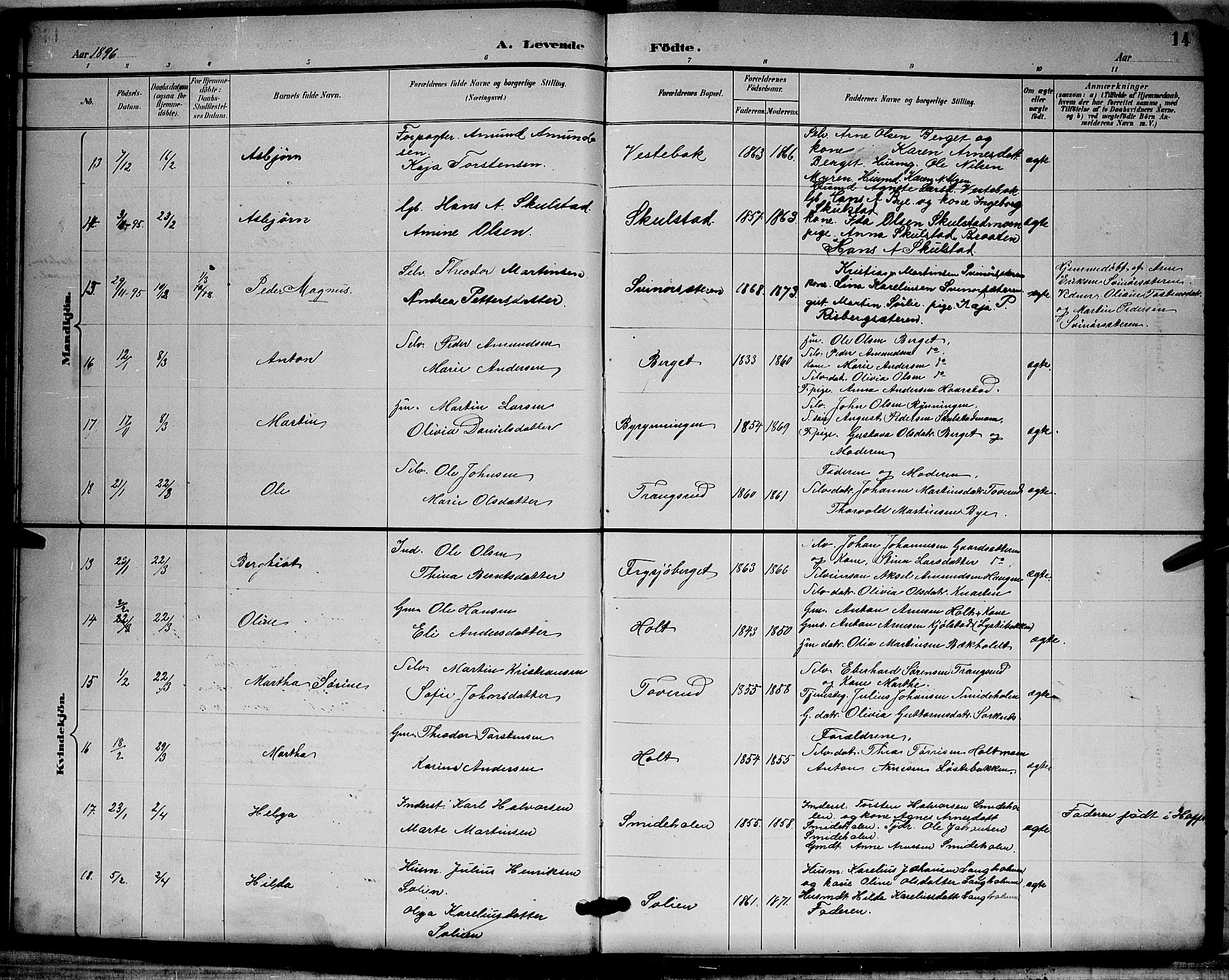 Grue prestekontor, SAH/PREST-036/H/Ha/Hab/L0003: Parish register (copy) no. 3, 1895-1899, p. 14