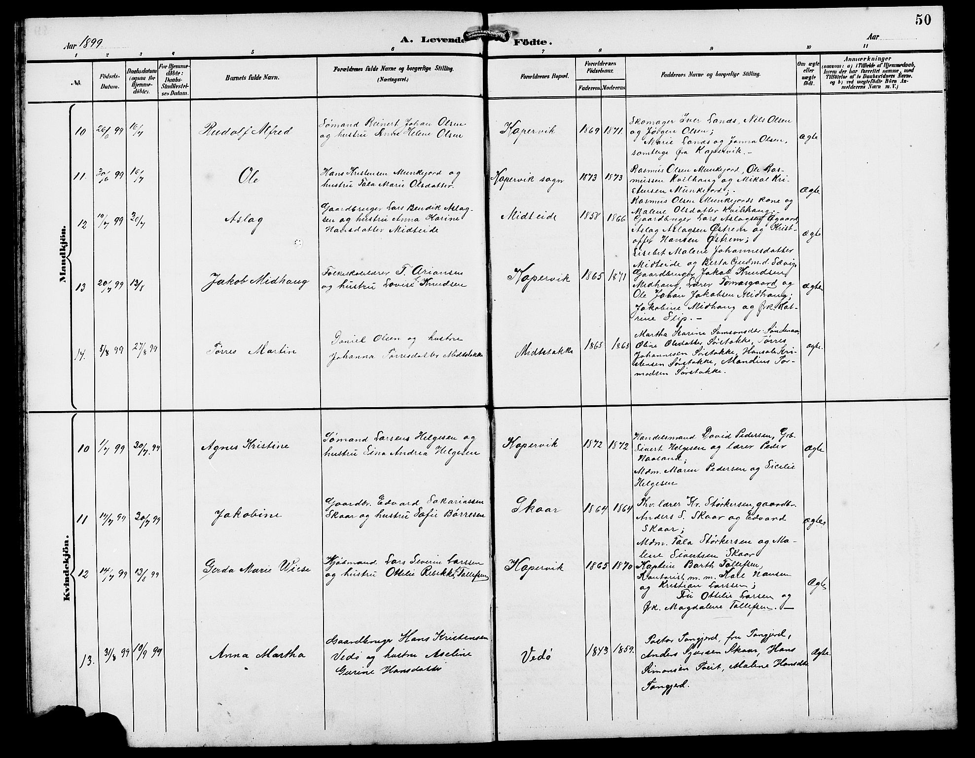 Kopervik sokneprestkontor, AV/SAST-A-101850/H/Ha/Hab/L0003: Parish register (copy) no. B 3, 1891-1909, p. 50