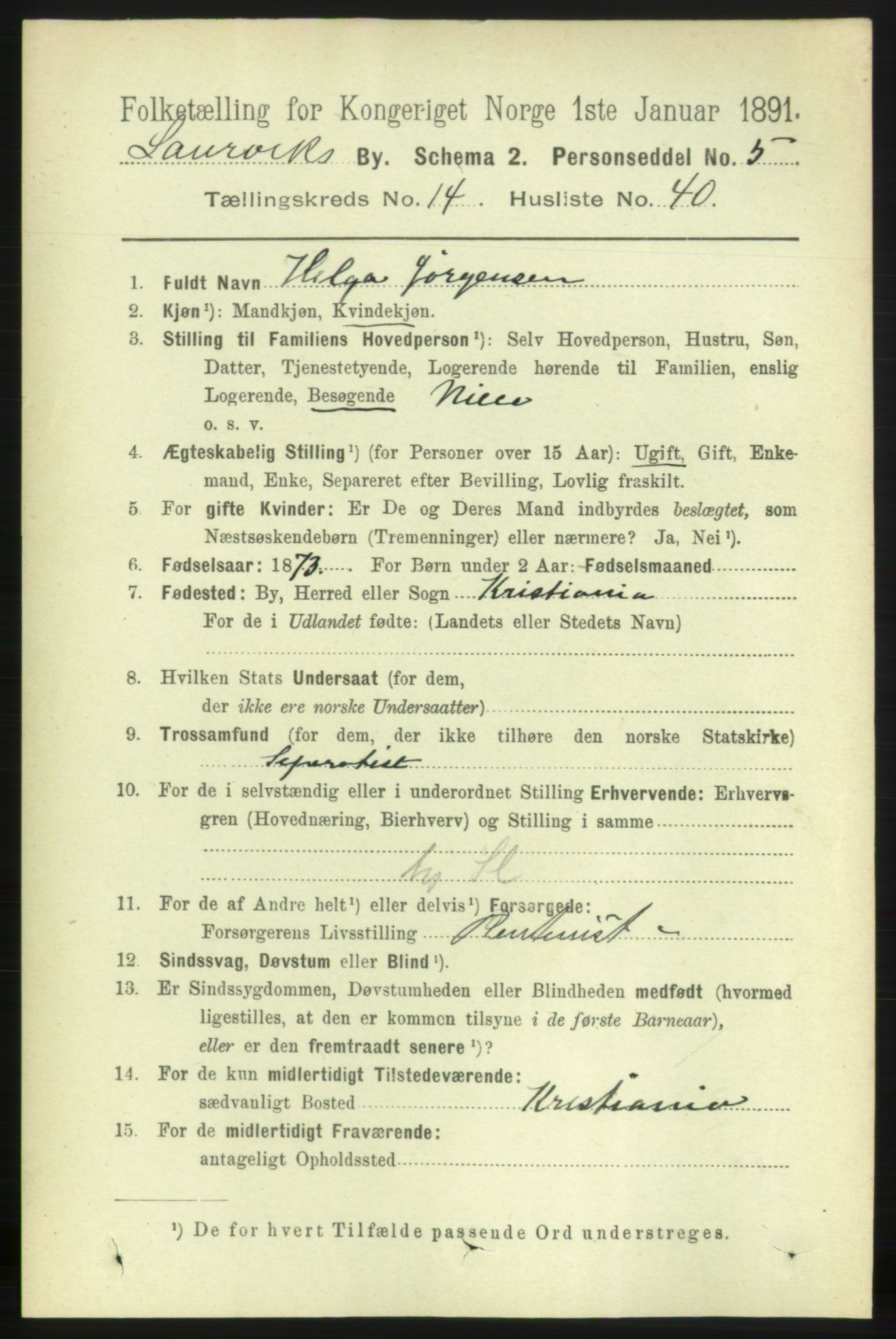 RA, 1891 census for 0707 Larvik, 1891, p. 11301