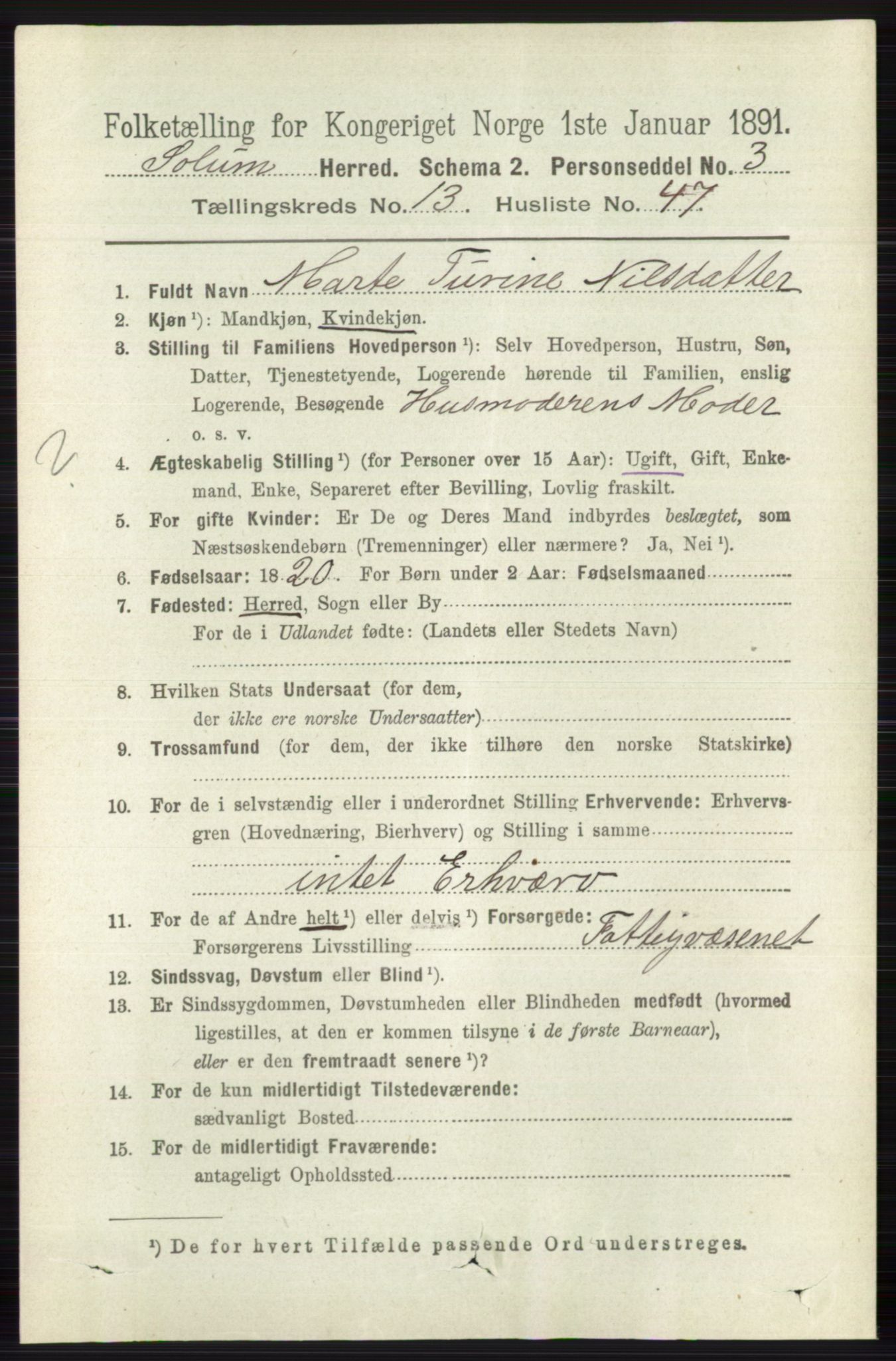 RA, 1891 census for 0818 Solum, 1891, p. 6291