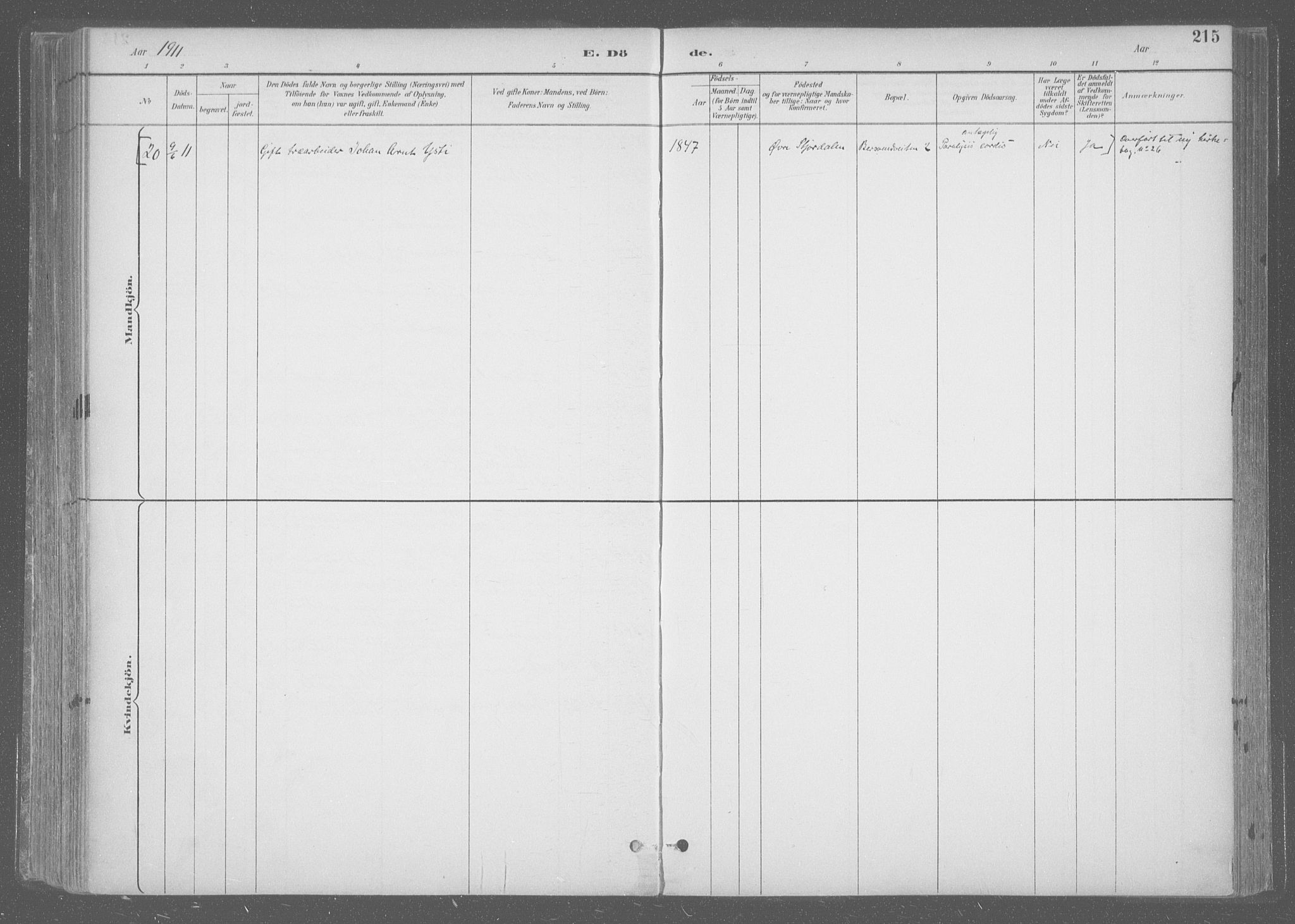 Ministerialprotokoller, klokkerbøker og fødselsregistre - Sør-Trøndelag, SAT/A-1456/601/L0064: Parish register (official) no. 601A31, 1891-1911, p. 215