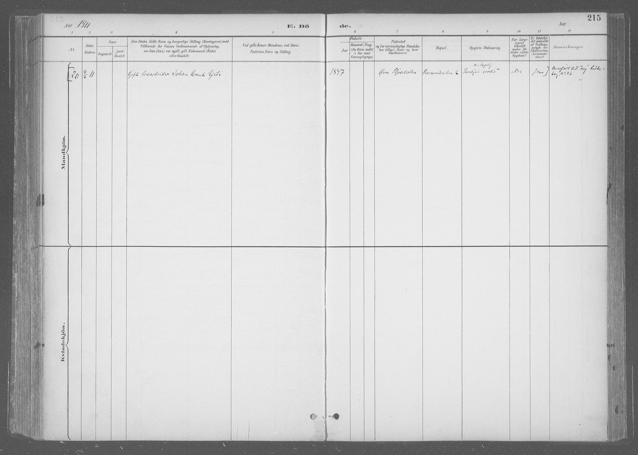 Ministerialprotokoller, klokkerbøker og fødselsregistre - Sør-Trøndelag, AV/SAT-A-1456/601/L0064: Parish register (official) no. 601A31, 1891-1911, p. 215