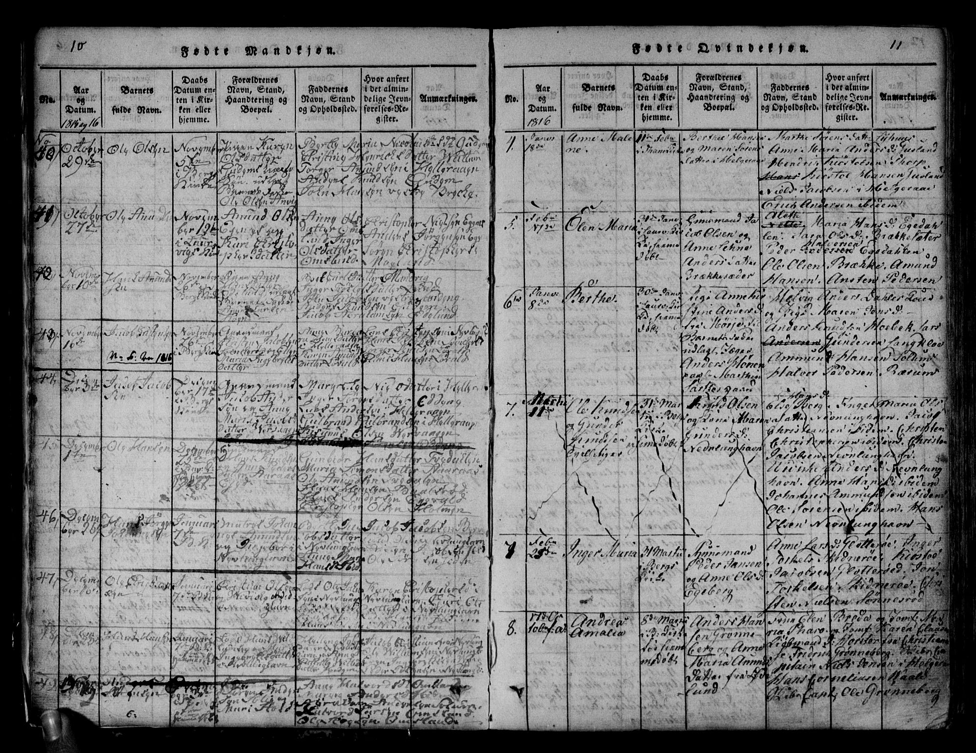 Brunlanes kirkebøker, AV/SAKO-A-342/G/Ga/L0001: Parish register (copy) no. I 1, 1814-1834, p. 10-11