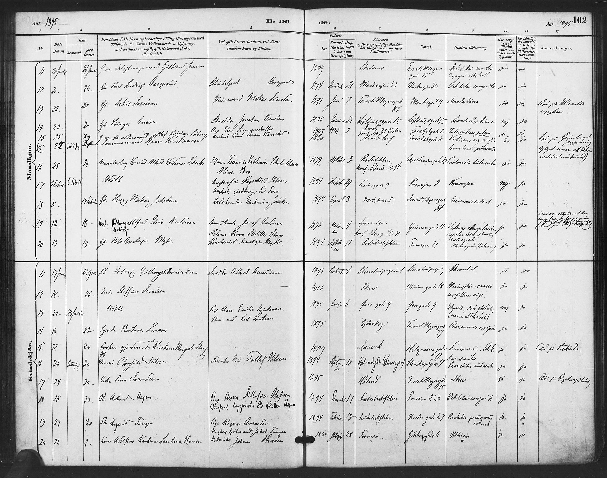 Paulus prestekontor Kirkebøker, SAO/A-10871/F/Fa/L0011: Parish register (official) no. 11, 1889-1897, p. 102