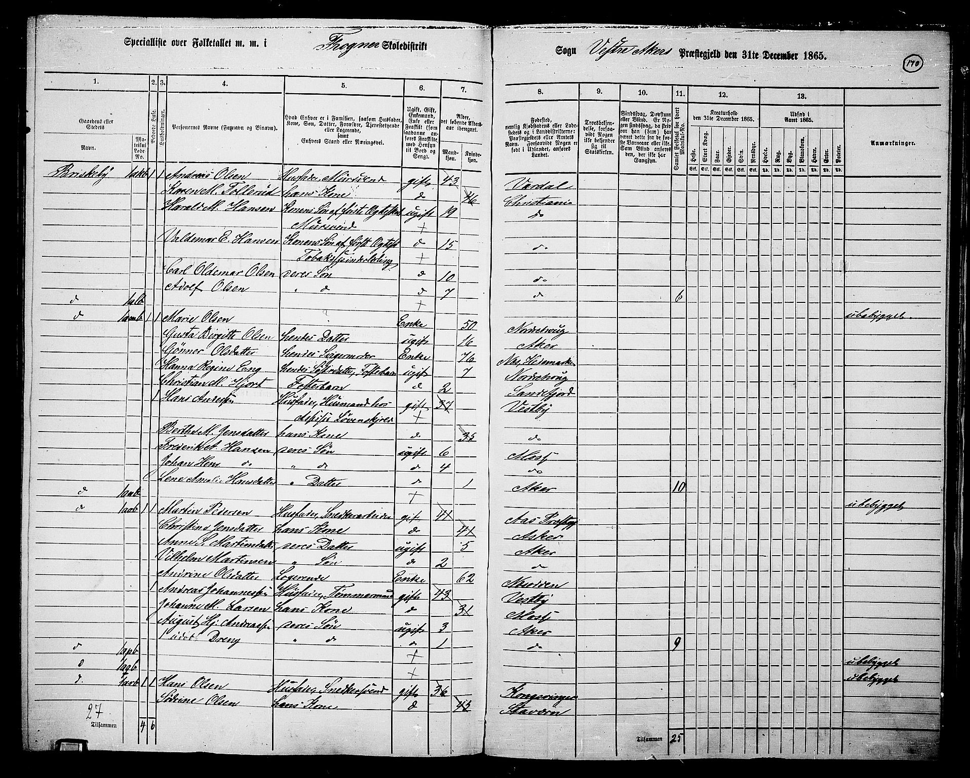 RA, 1865 census for Vestre Aker, 1865, p. 335