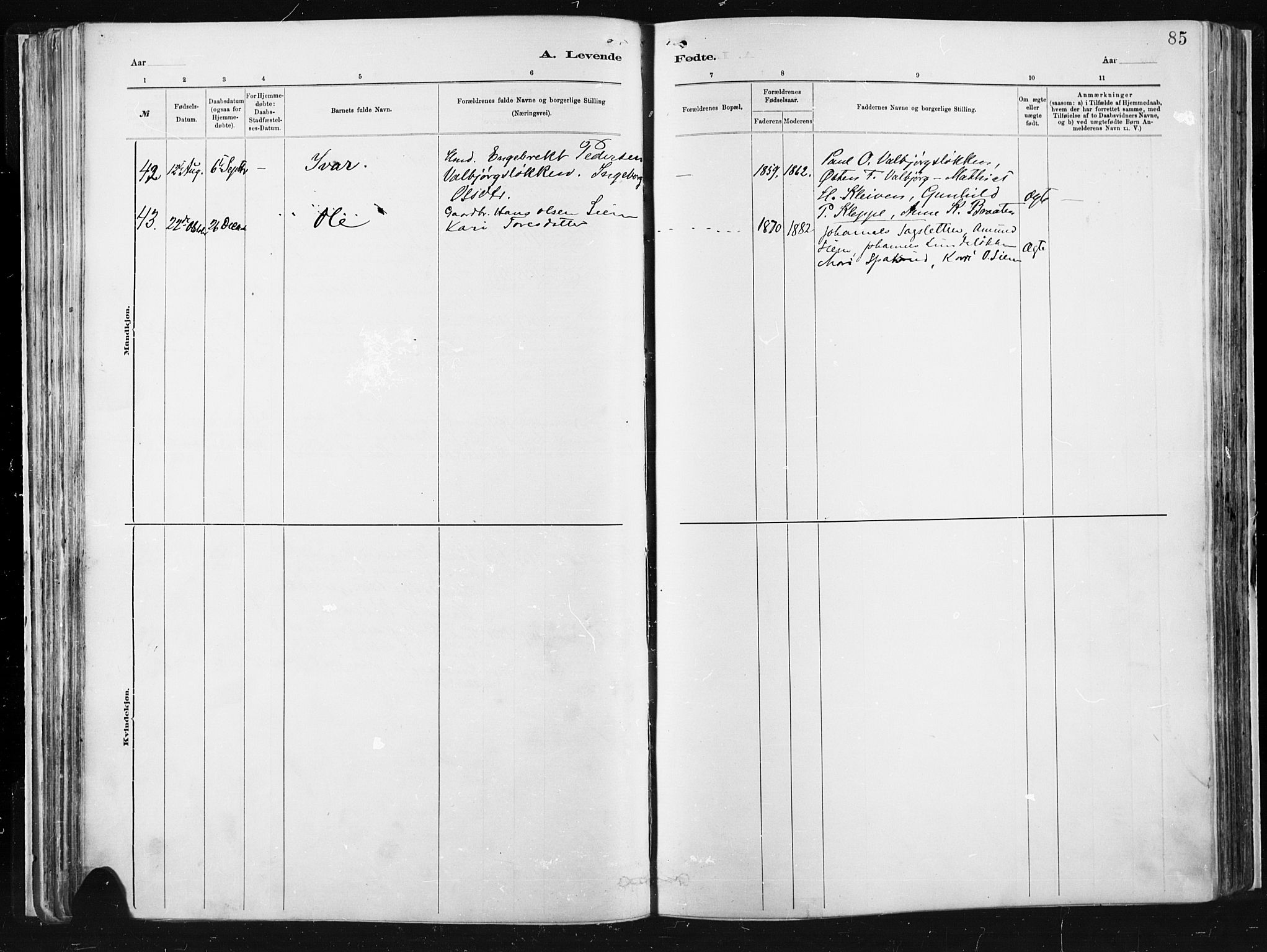 Vågå prestekontor, SAH/PREST-076/H/Ha/Haa/L0009: Parish register (official) no. 9, 1886-1904, p. 85