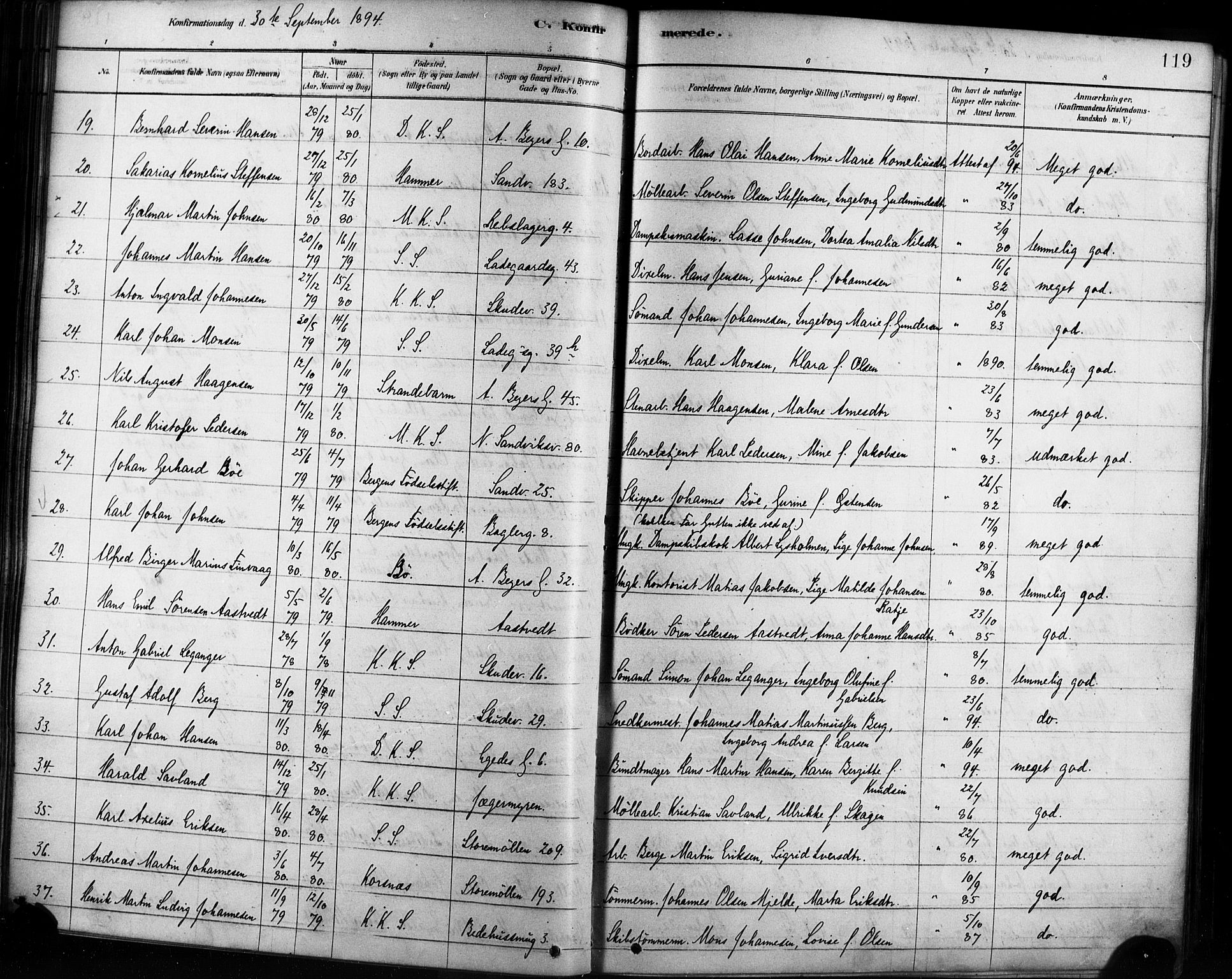 Sandviken Sokneprestembete, SAB/A-77601/H/Ha/L0002: Parish register (official) no. A 2, 1878-1896, p. 119
