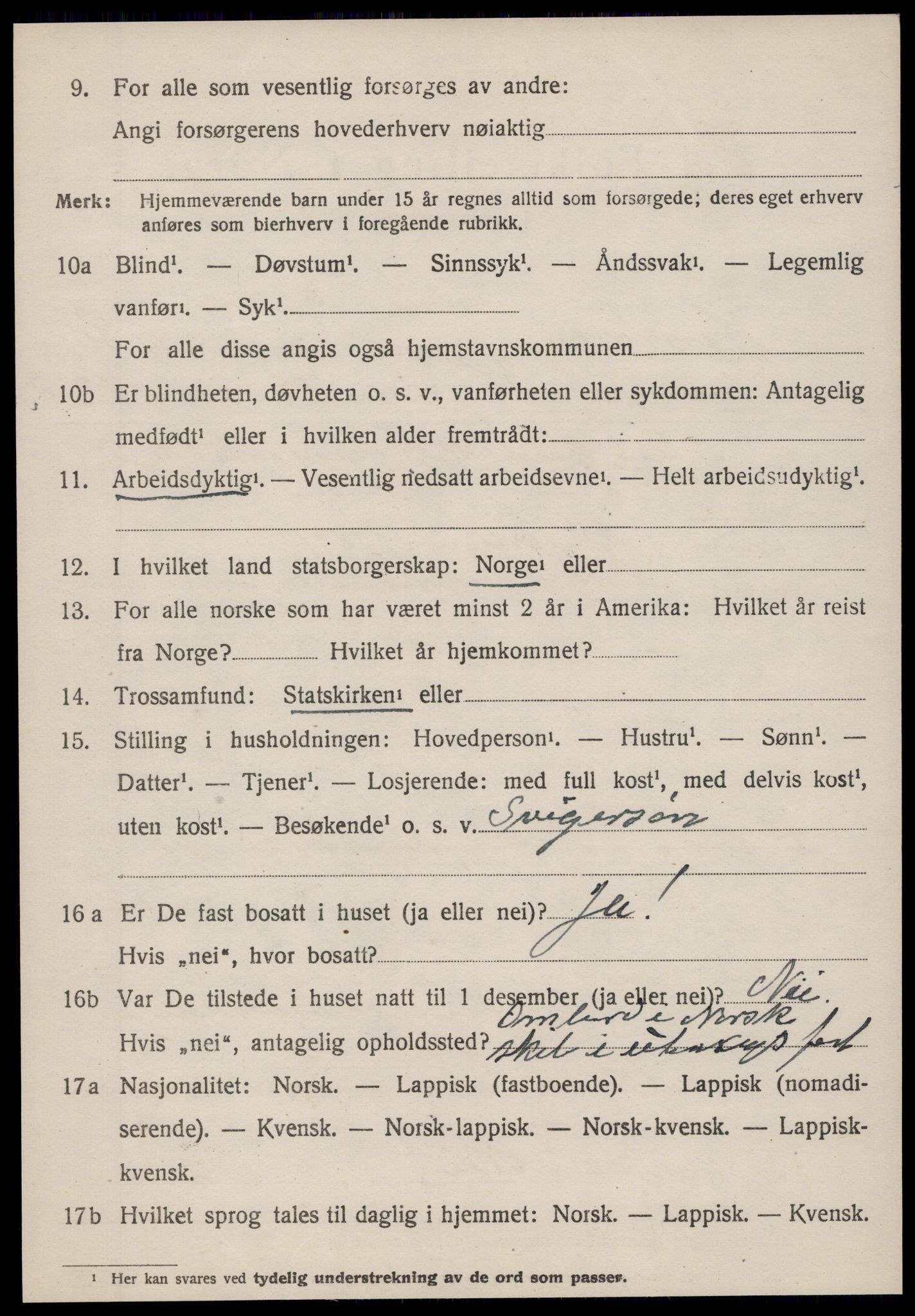 SAT, 1920 census for Hemne, 1920, p. 5191