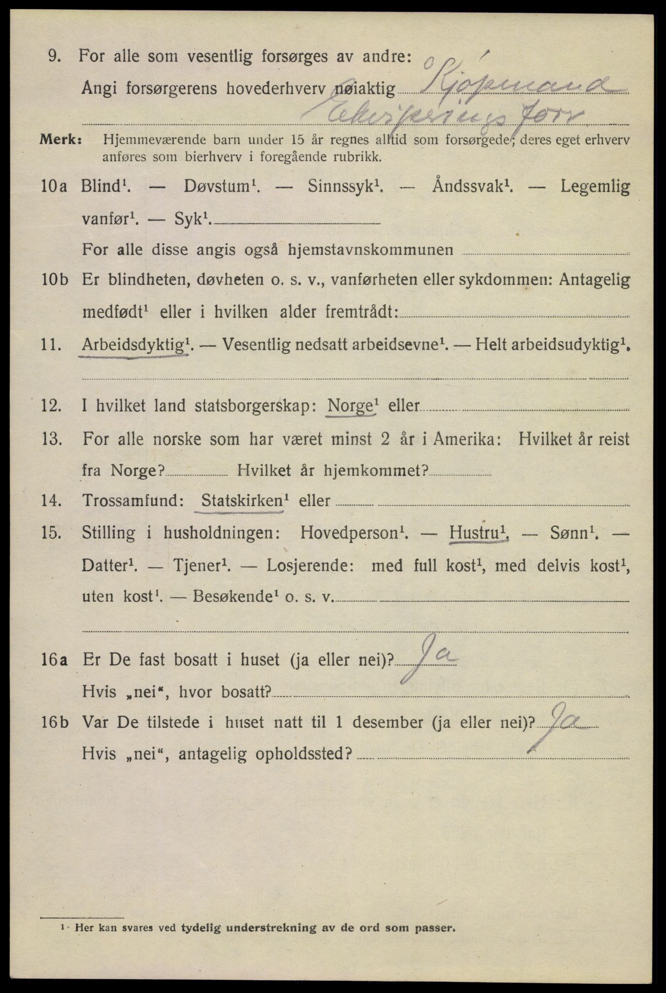 SAKO, 1920 census for Kragerø, 1920, p. 10016
