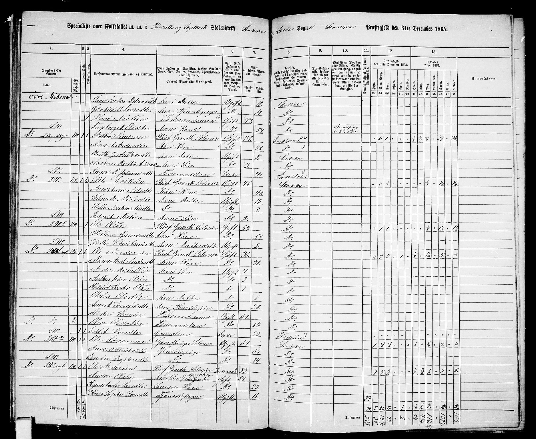 RA, 1865 census for Stokke, 1865, p. 124