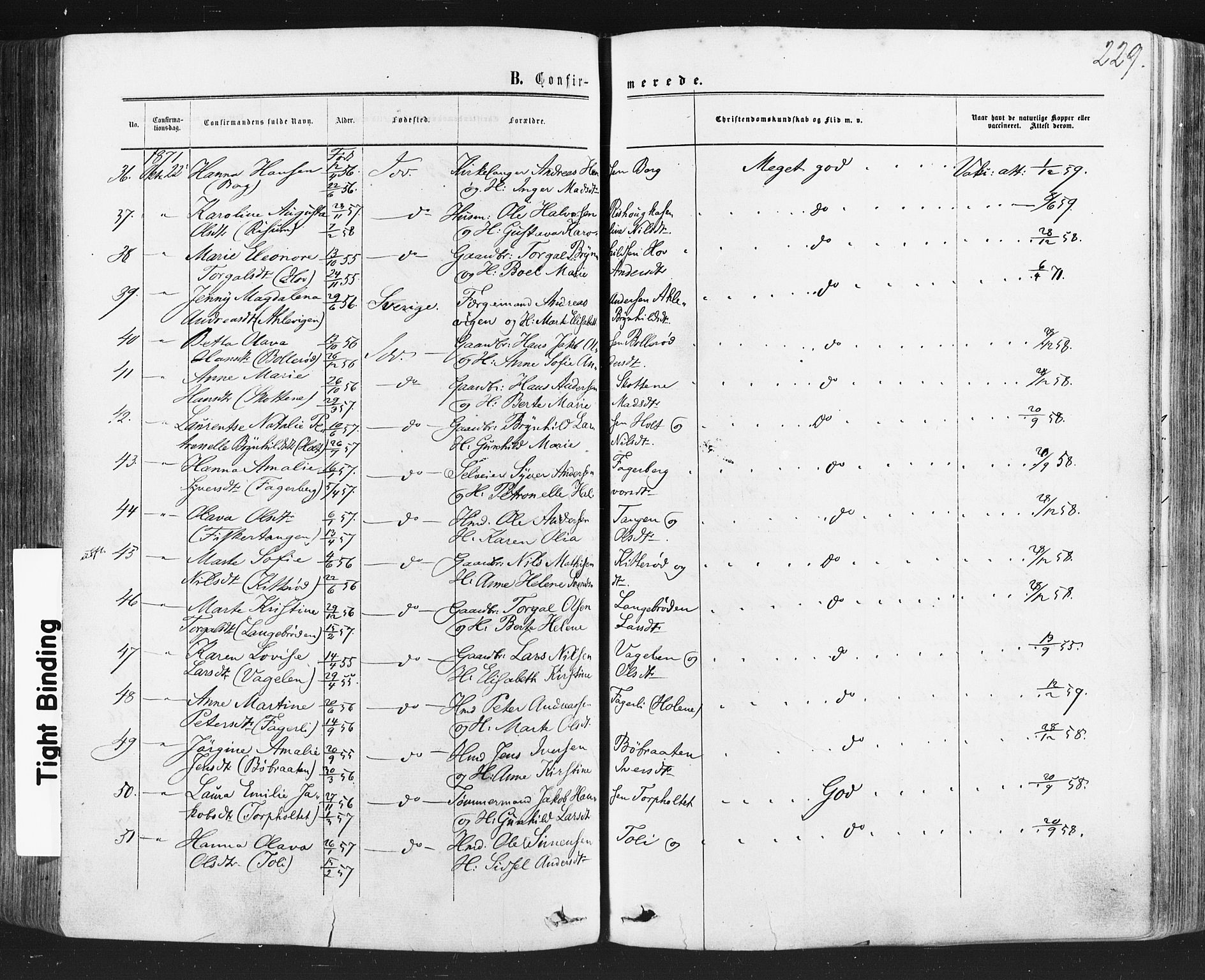 Idd prestekontor Kirkebøker, AV/SAO-A-10911/F/Fc/L0005: Parish register (official) no. III 5, 1861-1877, p. 229