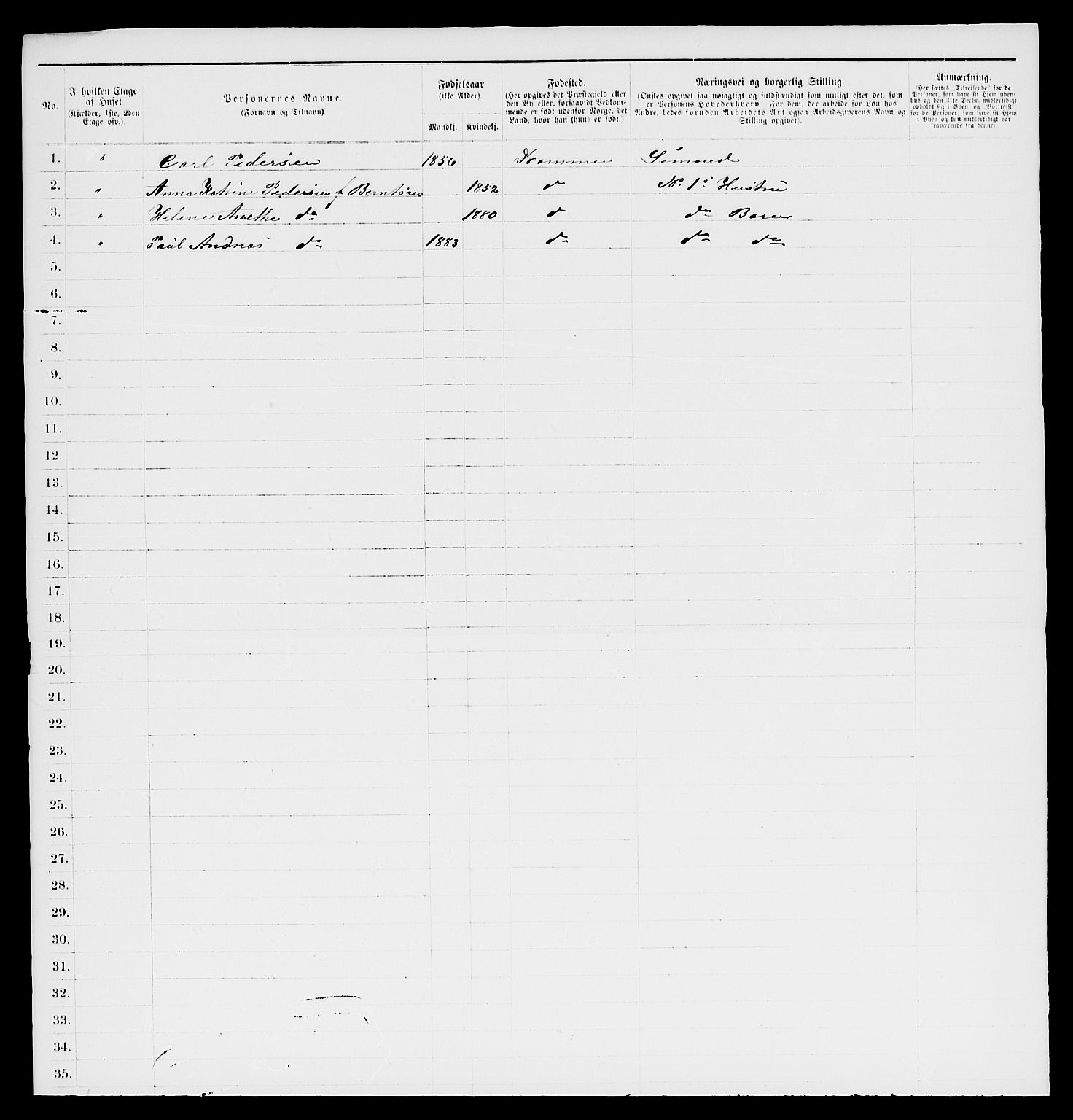 SAKO, 1885 census for 0602 Drammen, 1885, p. 1311