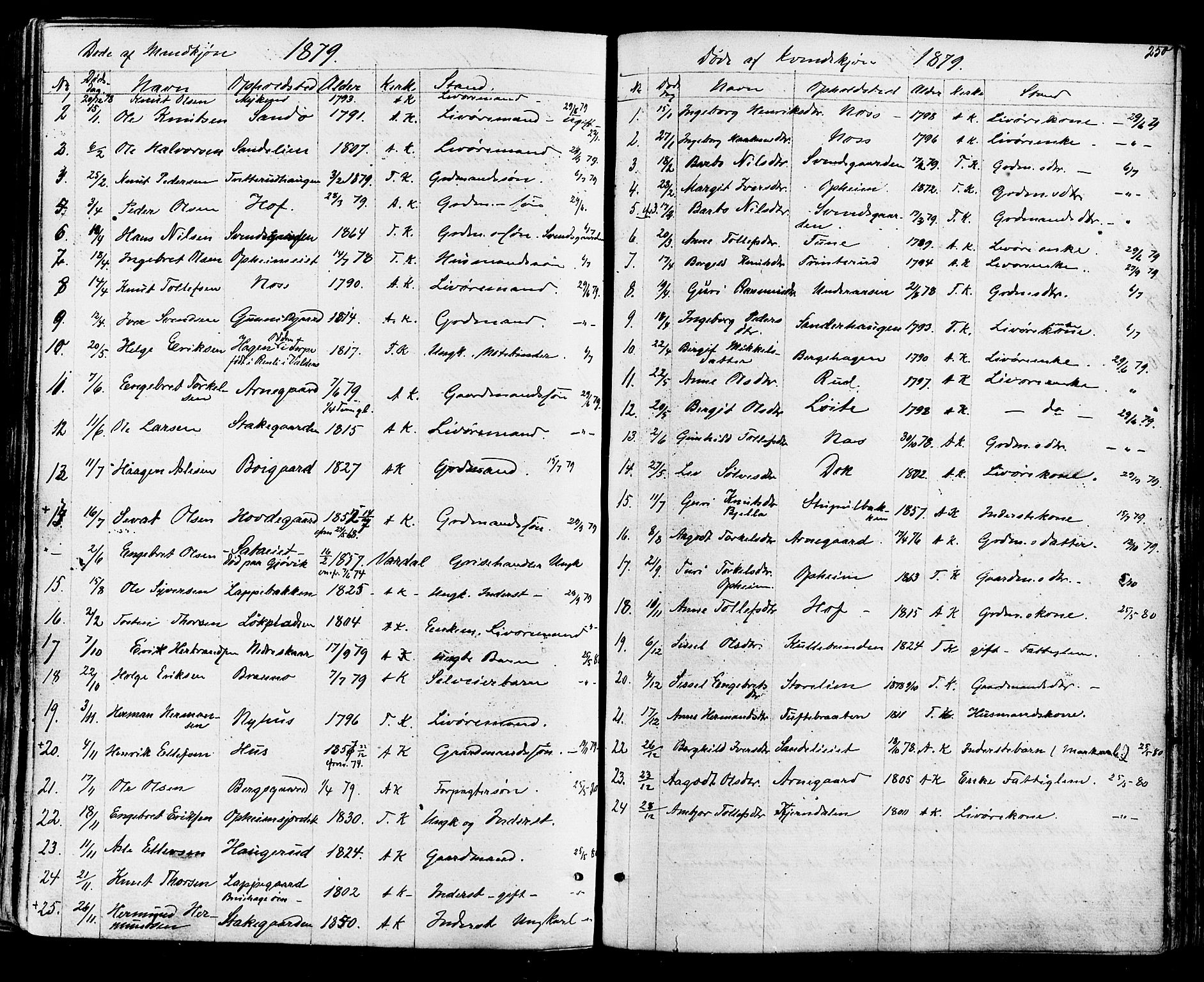 Ål kirkebøker, AV/SAKO-A-249/F/Fa/L0007: Parish register (official) no. I 7, 1865-1881, p. 250