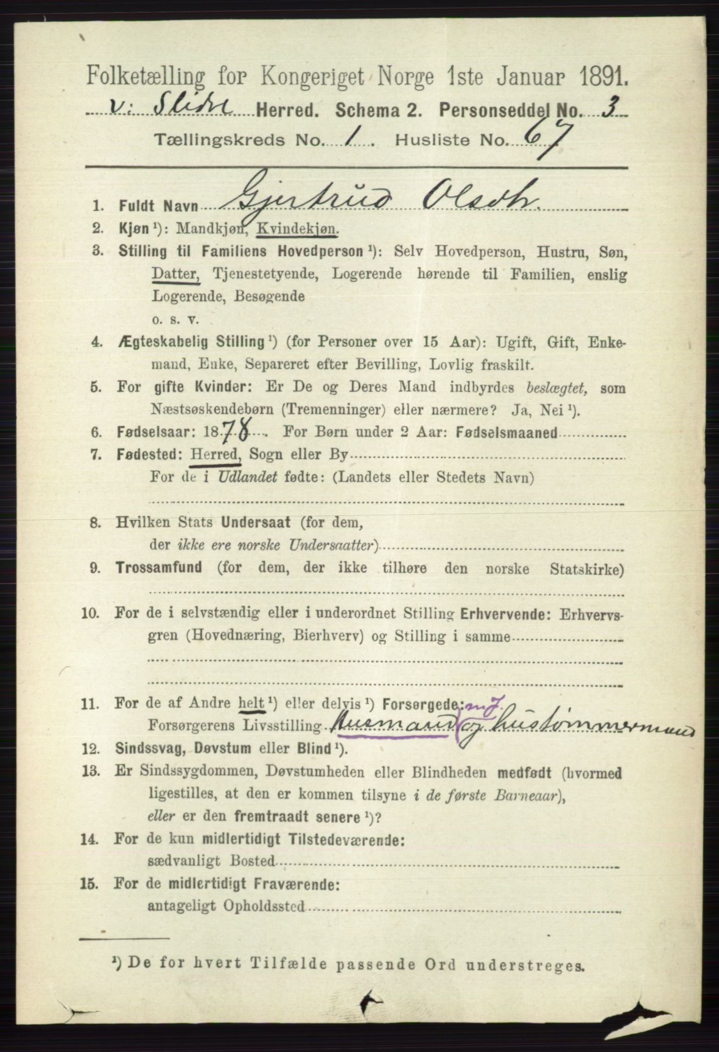 RA, 1891 census for 0543 Vestre Slidre, 1891, p. 454