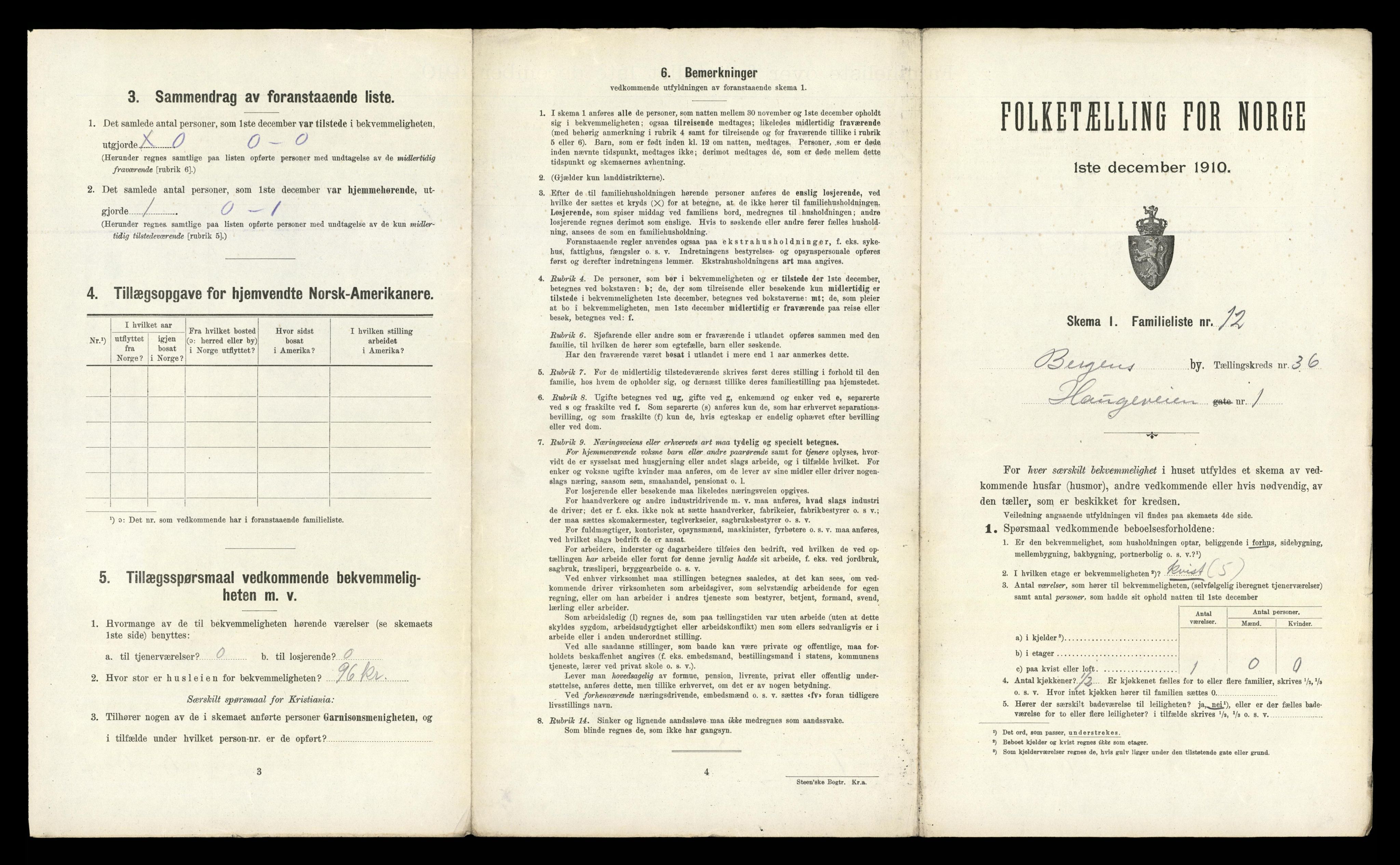 RA, 1910 census for Bergen, 1910, p. 12317