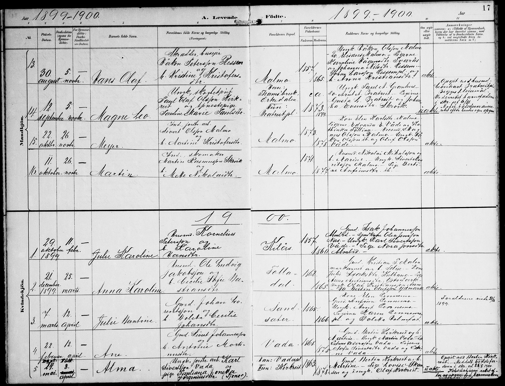 Ministerialprotokoller, klokkerbøker og fødselsregistre - Nord-Trøndelag, AV/SAT-A-1458/745/L0430: Parish register (official) no. 745A02, 1895-1913, p. 17