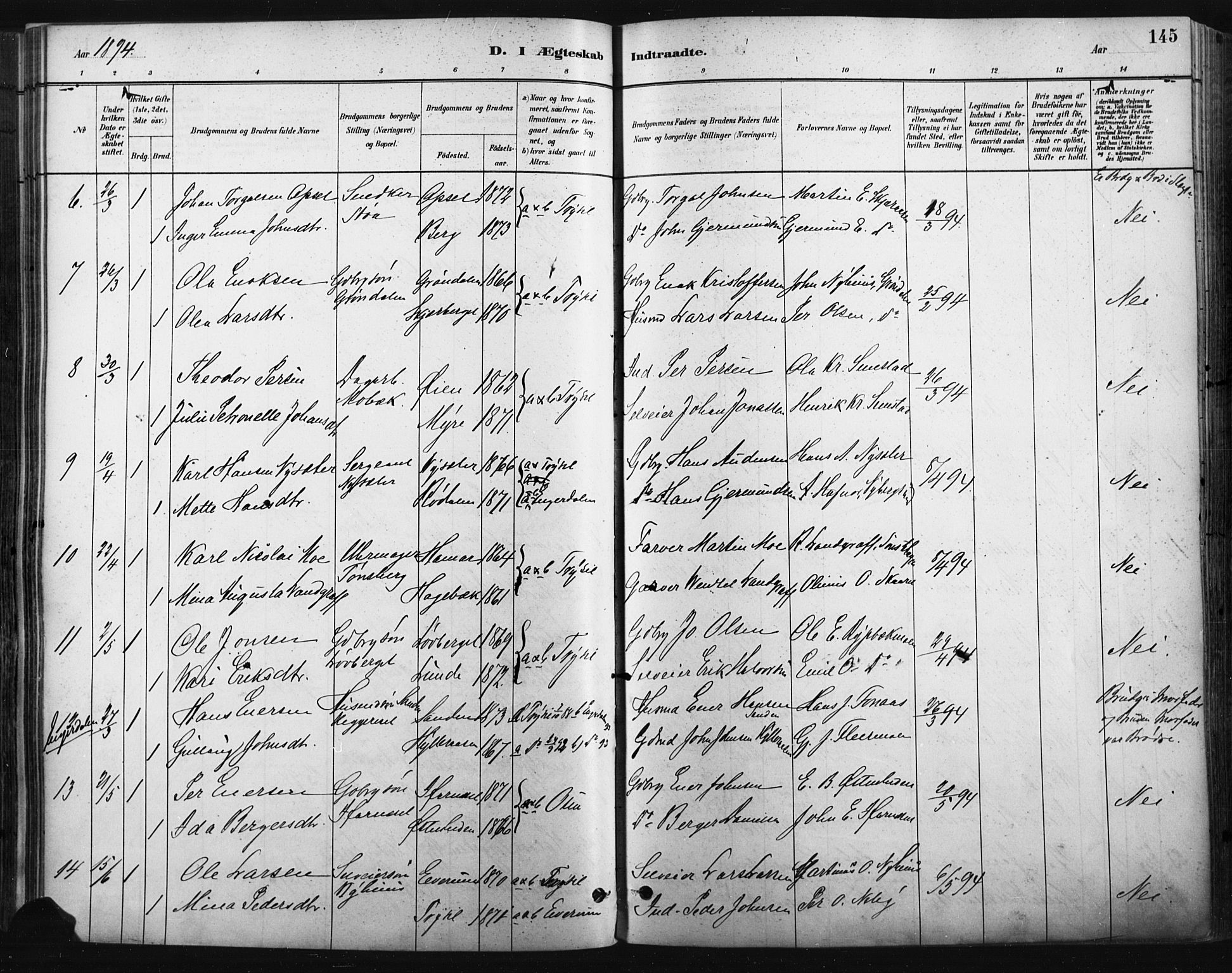 Trysil prestekontor, SAH/PREST-046/H/Ha/Haa/L0009: Parish register (official) no. 9, 1881-1897, p. 145