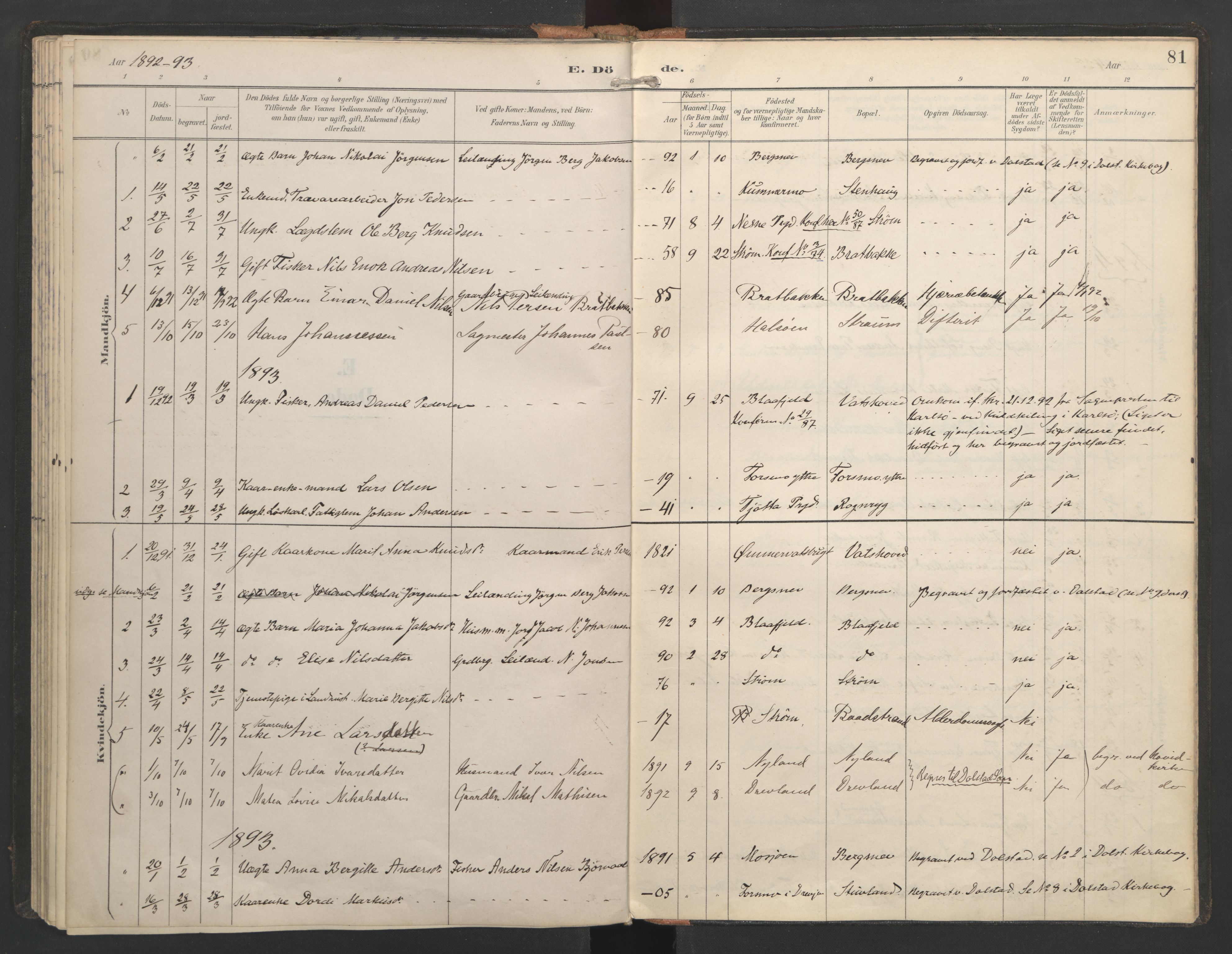 Ministerialprotokoller, klokkerbøker og fødselsregistre - Nordland, SAT/A-1459/821/L0317: Parish register (official) no. 821A01, 1892-1907, p. 81