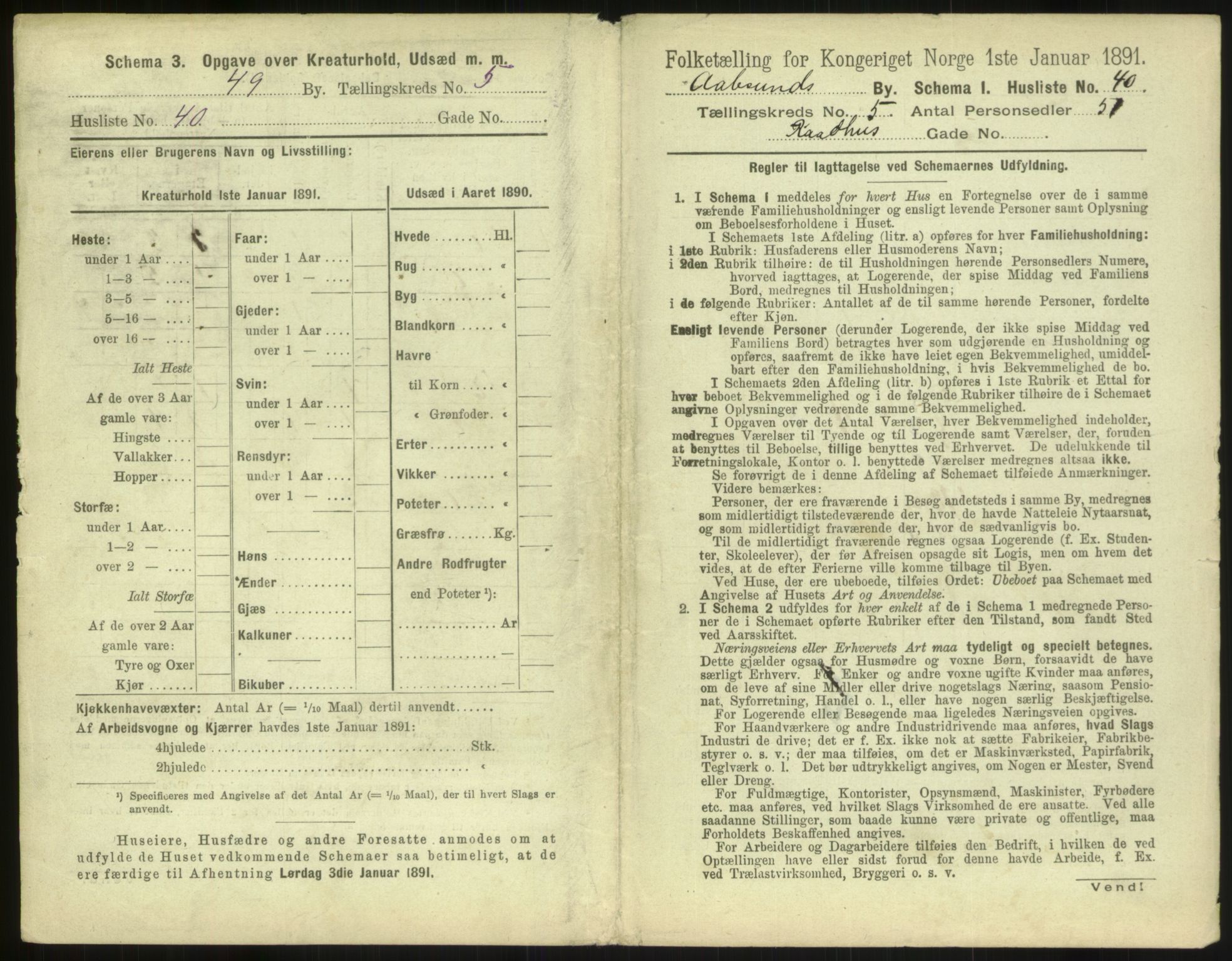 RA, 1891 census for 1501 Ålesund, 1891, p. 458