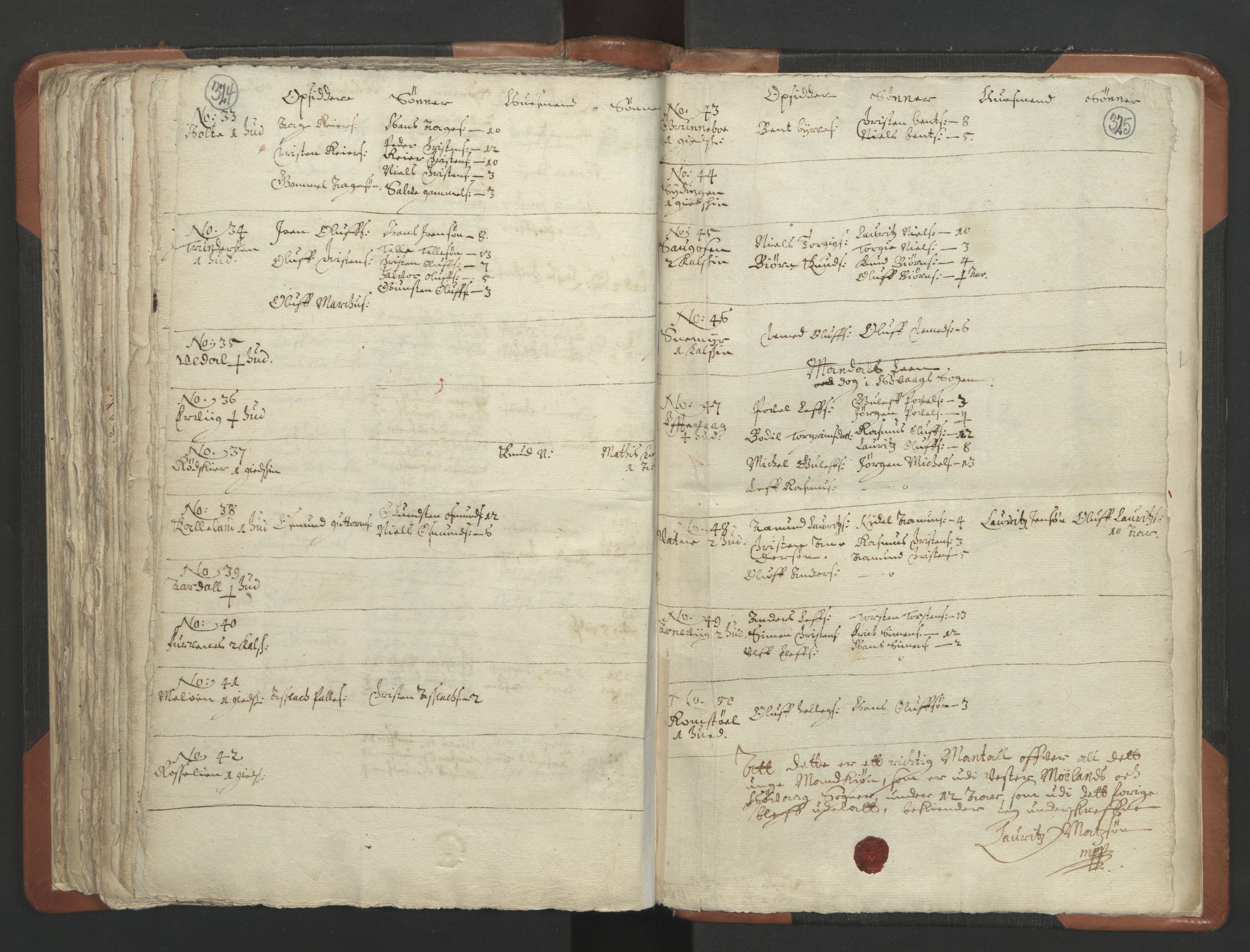 RA, Vicar's Census 1664-1666, no. 13: Nedenes deanery, 1664-1666, p. 324-325