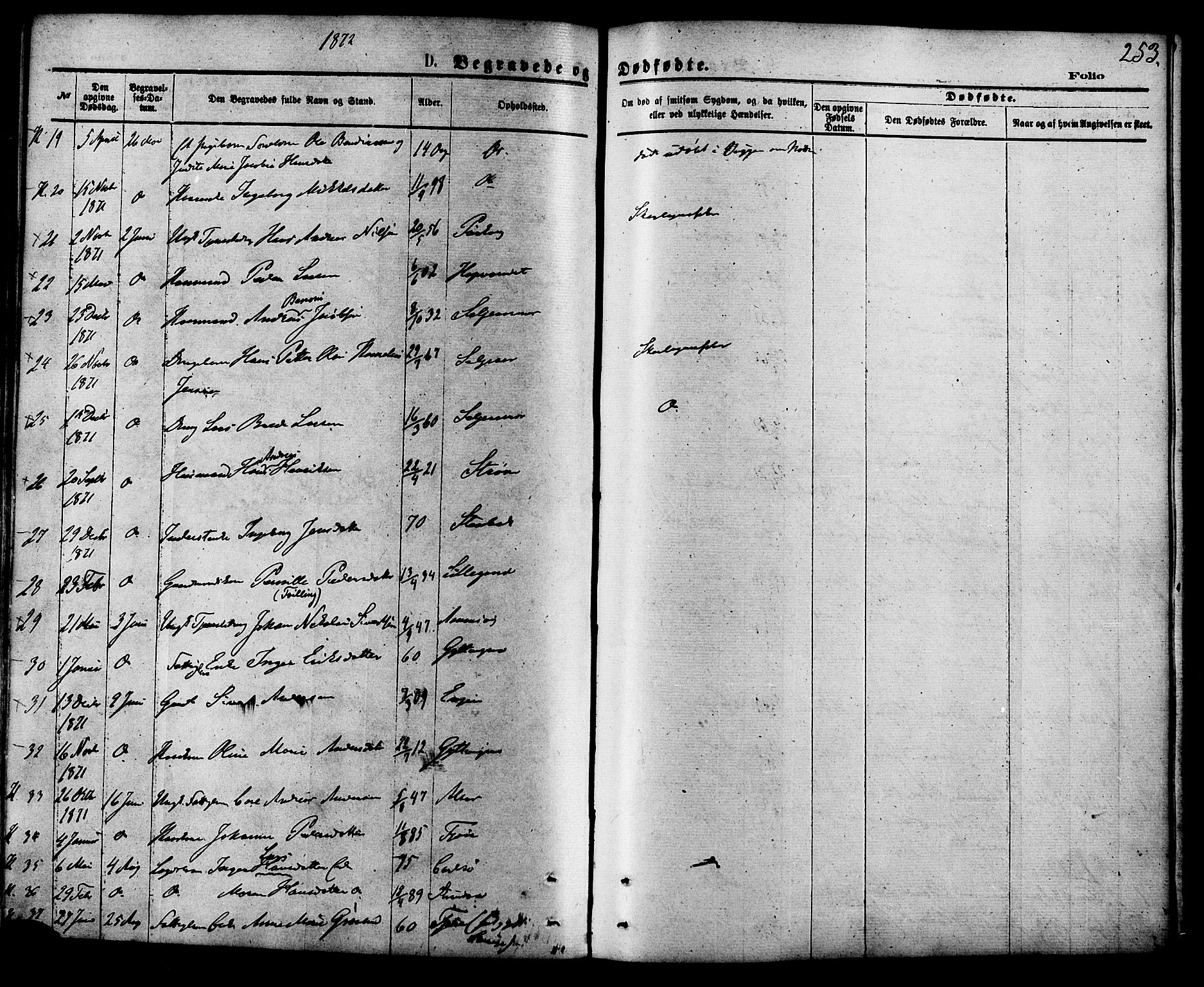 Ministerialprotokoller, klokkerbøker og fødselsregistre - Nordland, AV/SAT-A-1459/853/L0771: Parish register (official) no. 853A10, 1870-1881, p. 253