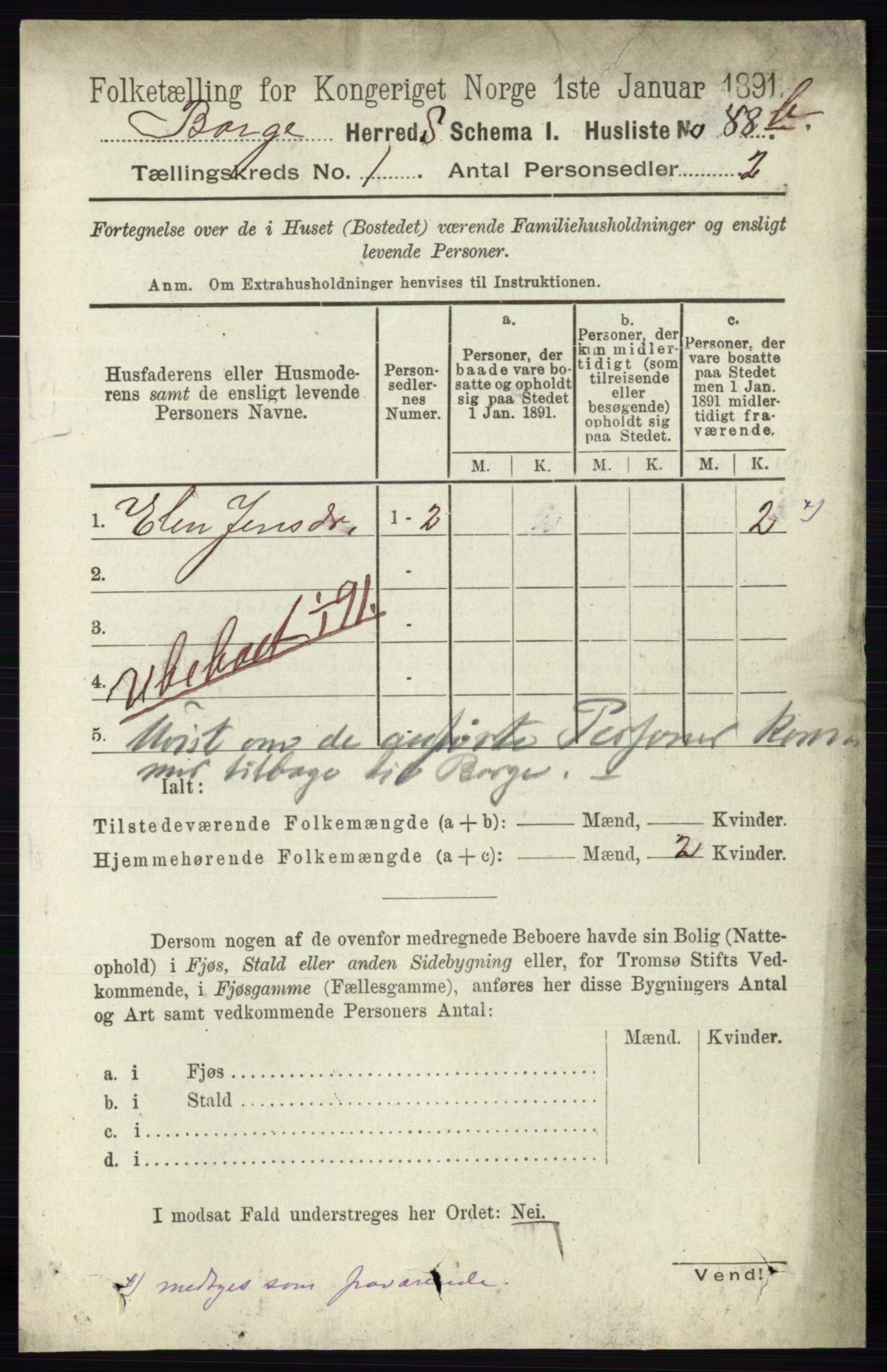 RA, 1891 census for 0113 Borge, 1891, p. 120