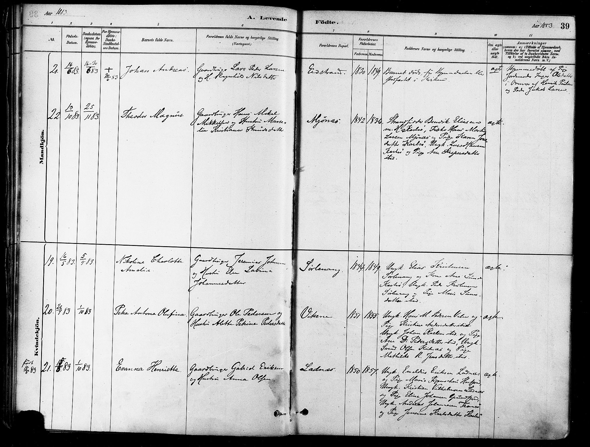 Karlsøy sokneprestembete, SATØ/S-1299/H/Ha/Haa/L0006kirke: Parish register (official) no. 6, 1879-1890, p. 39