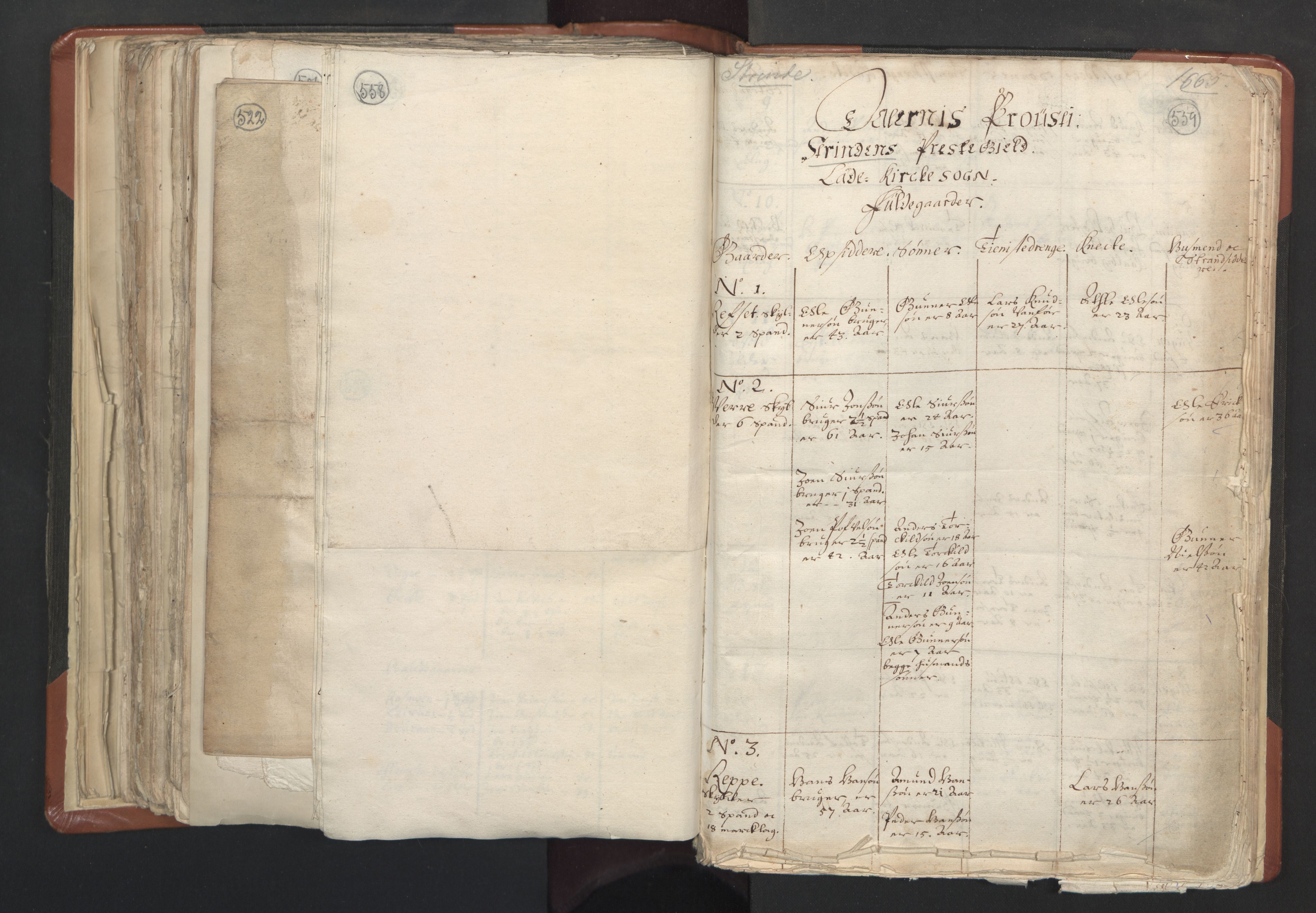 RA, Vicar's Census 1664-1666, no. 31: Dalane deanery, 1664-1666, p. 558-559