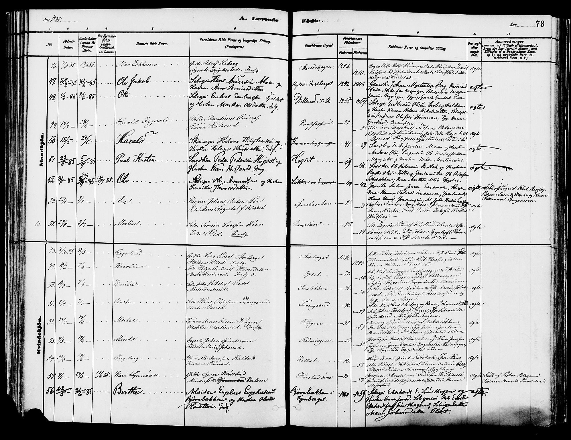 Elverum prestekontor, AV/SAH-PREST-044/H/Ha/Haa/L0013: Parish register (official) no. 13, 1880-1890, p. 73