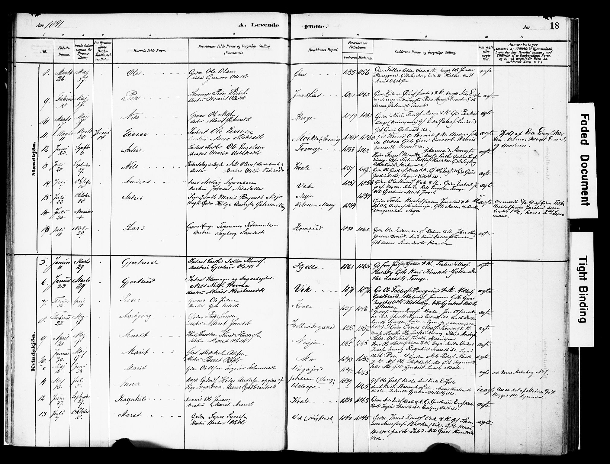 Vestre Slidre prestekontor, AV/SAH-PREST-136/H/Ha/Haa/L0004: Parish register (official) no. 4, 1881-1911, p. 18