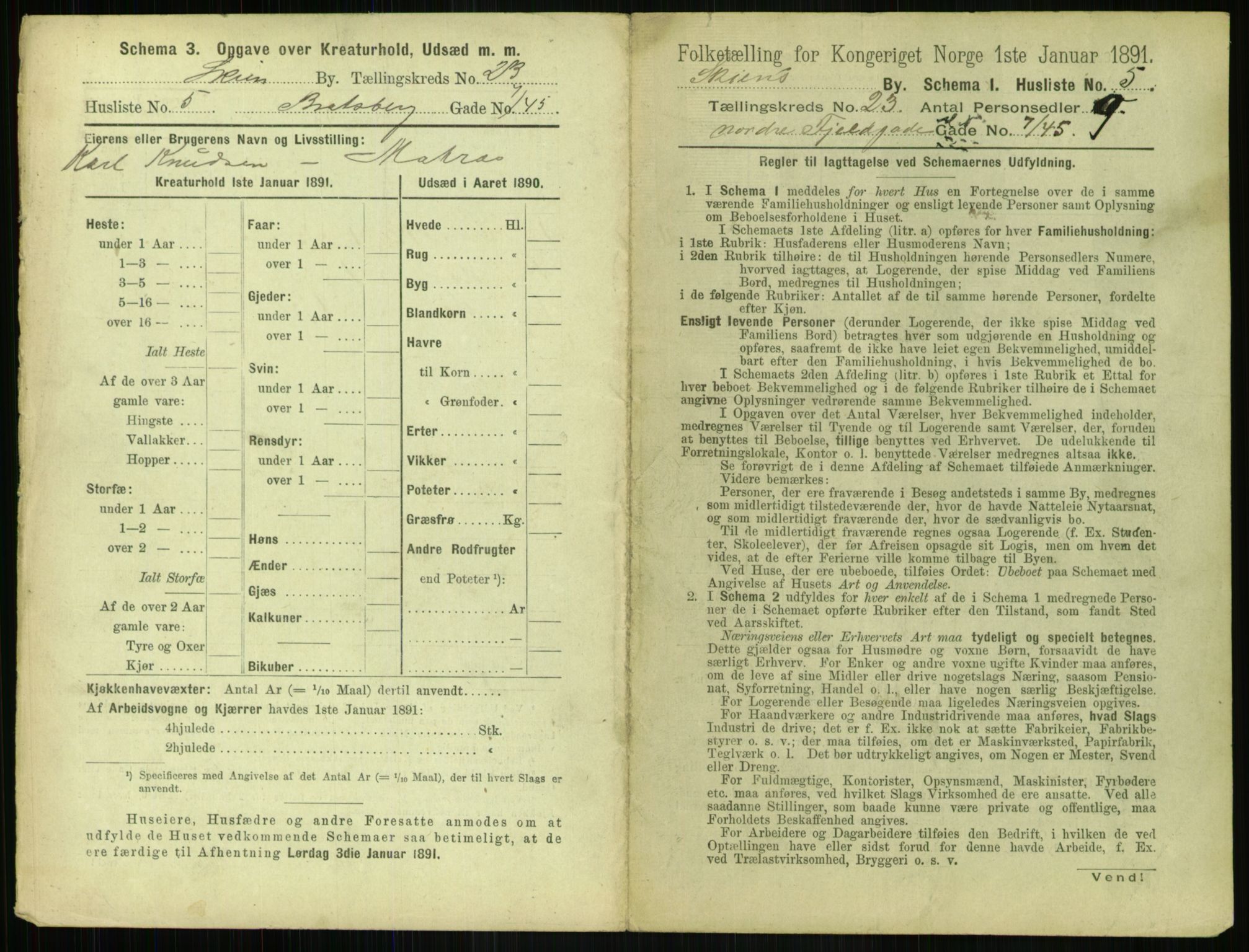 RA, 1891 census for 0806 Skien, 1891, p. 888