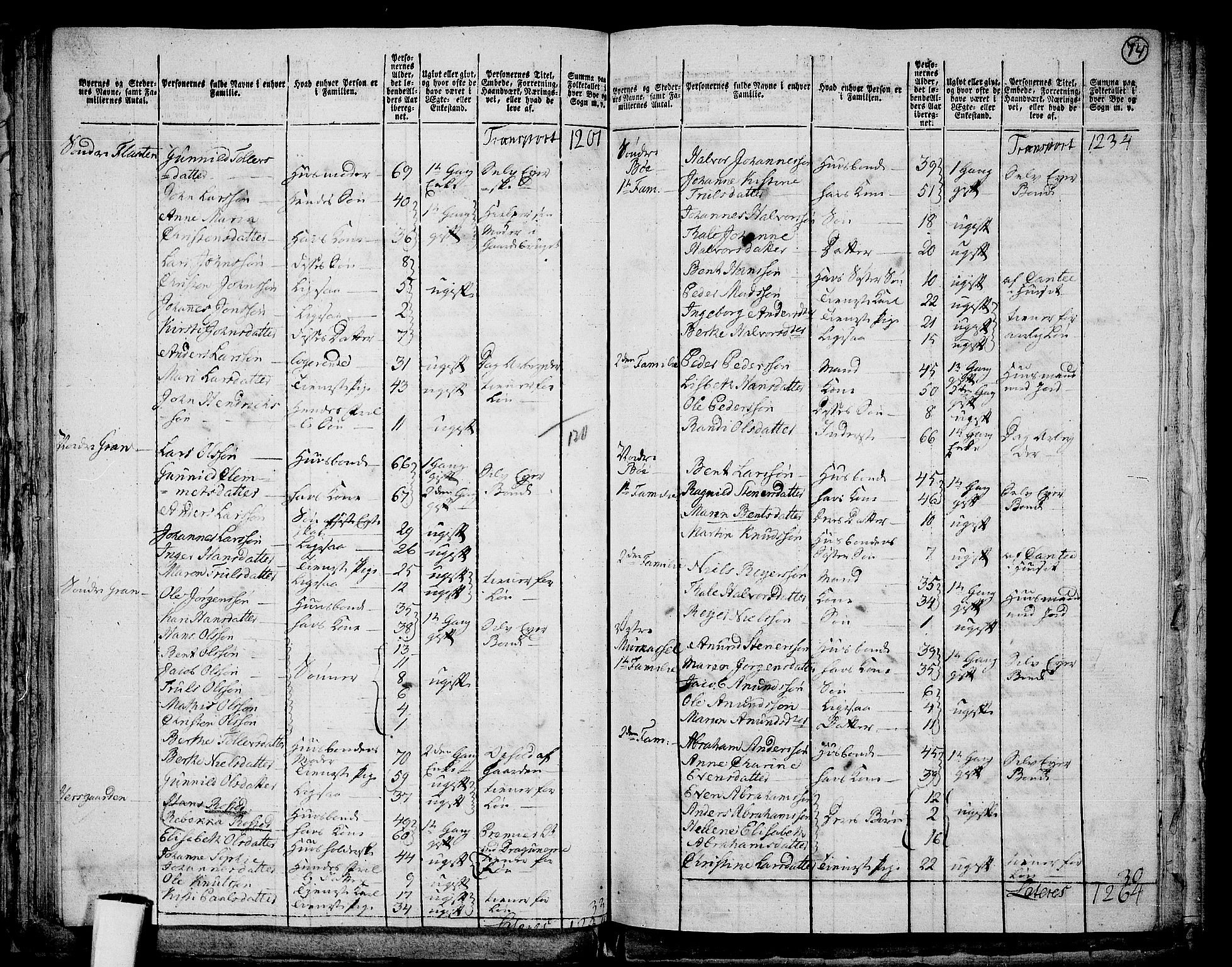 RA, 1801 census for 0713P Sande, 1801, p. 73b-74a