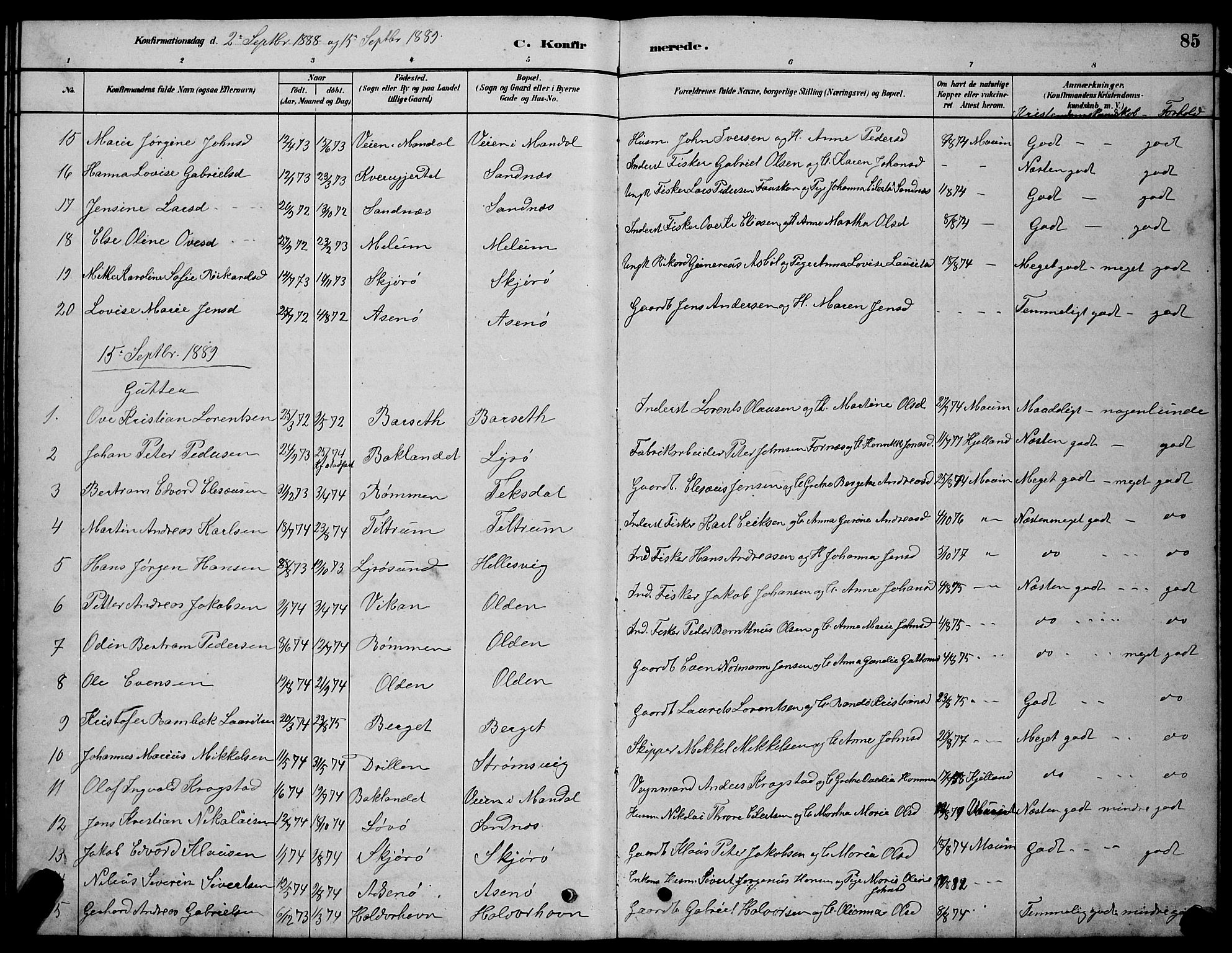 Ministerialprotokoller, klokkerbøker og fødselsregistre - Sør-Trøndelag, SAT/A-1456/654/L0665: Parish register (copy) no. 654C01, 1879-1901, p. 85