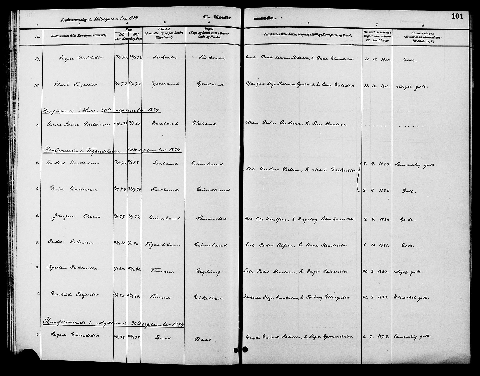 Åmli sokneprestkontor, AV/SAK-1111-0050/F/Fb/Fbc/L0004: Parish register (copy) no. B 4, 1889-1902, p. 101