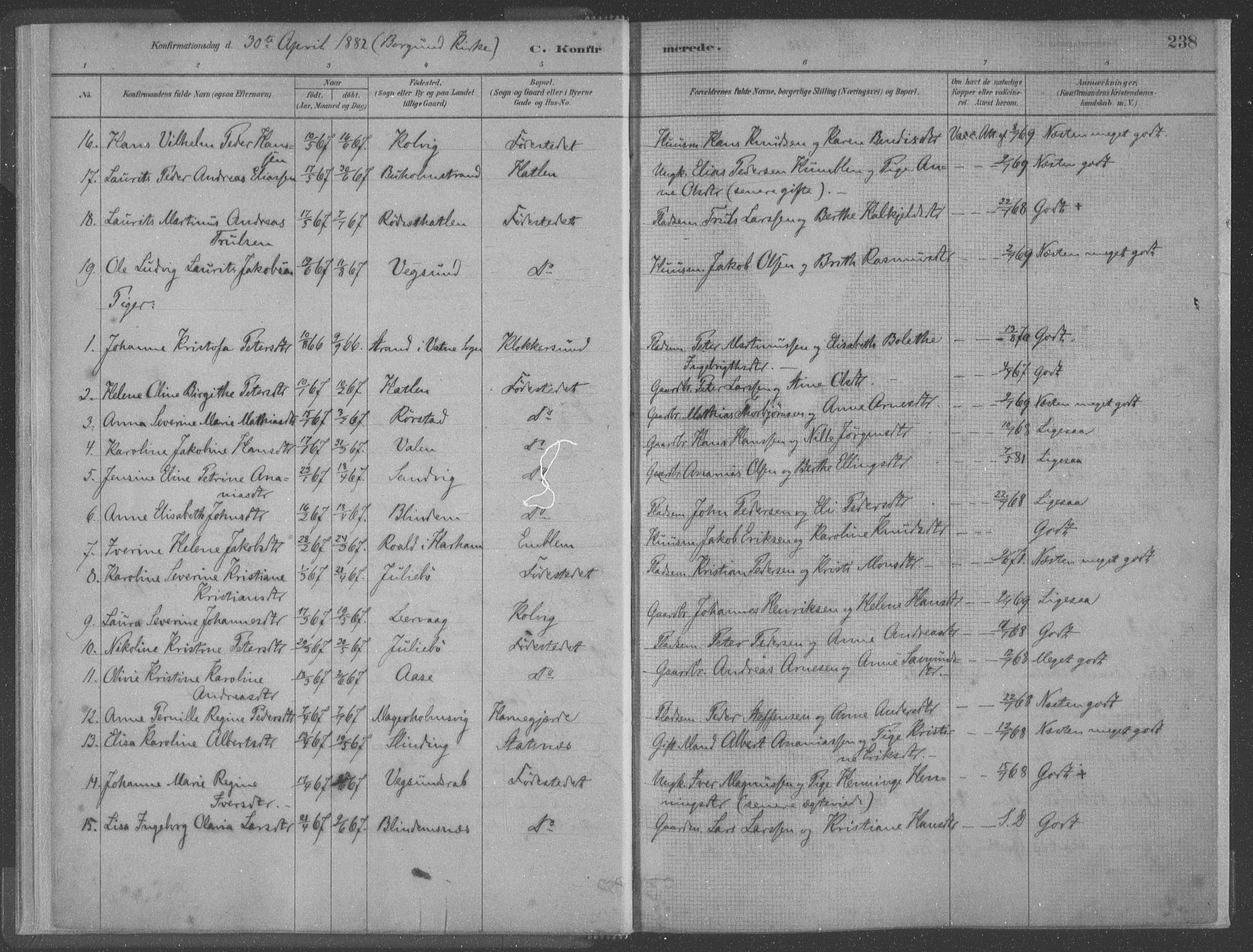 Ministerialprotokoller, klokkerbøker og fødselsregistre - Møre og Romsdal, AV/SAT-A-1454/528/L0402: Parish register (official) no. 528A12II, 1880-1903, p. 238