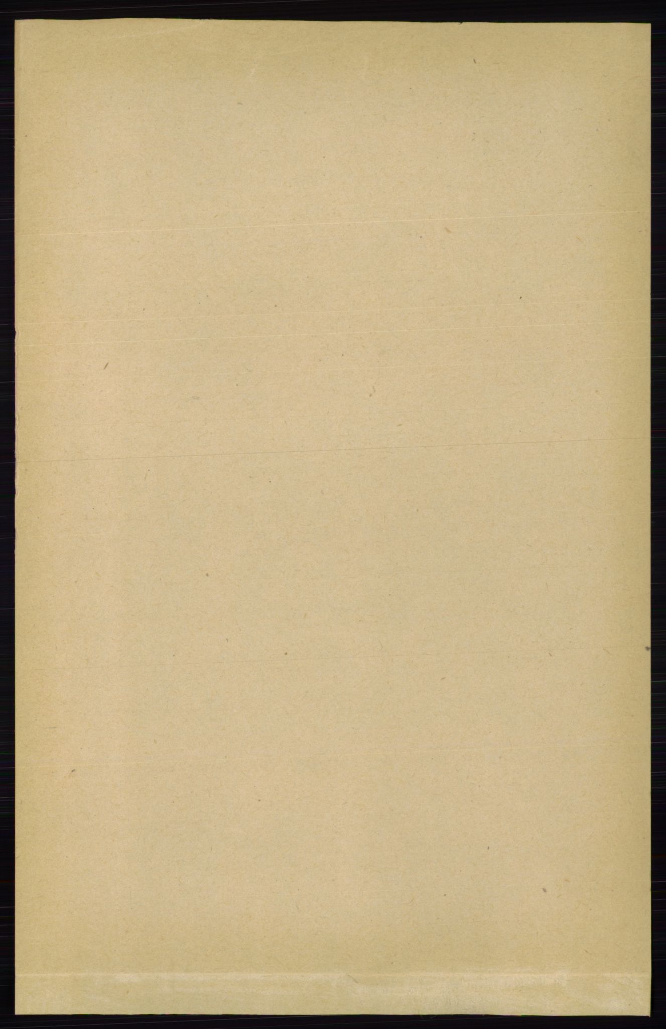 RA, 1891 census for 0826 Tinn, 1891, p. 1000