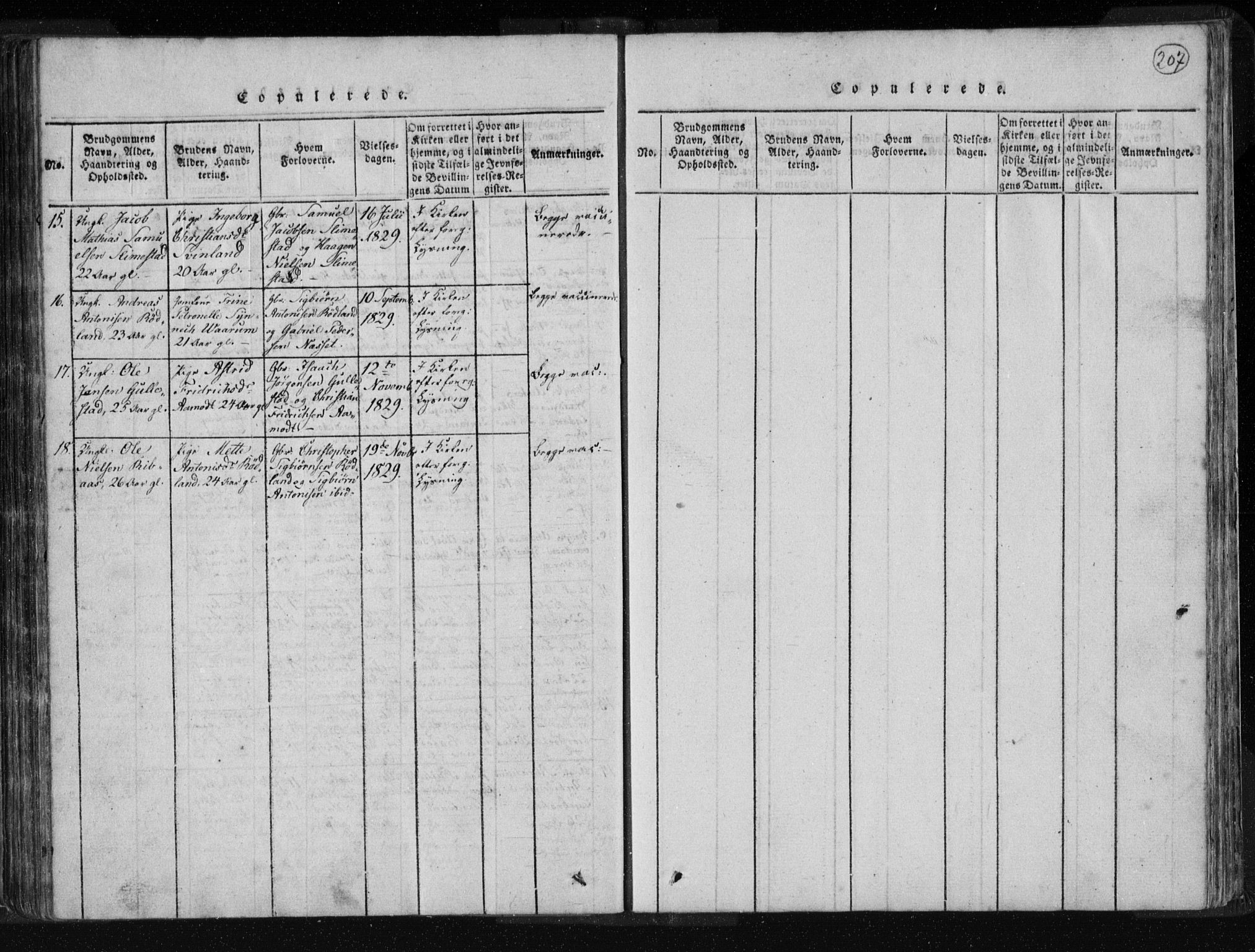 Kvinesdal sokneprestkontor, AV/SAK-1111-0026/F/Fa/Fab/L0003: Parish register (official) no. A 3, 1815-1829, p. 207