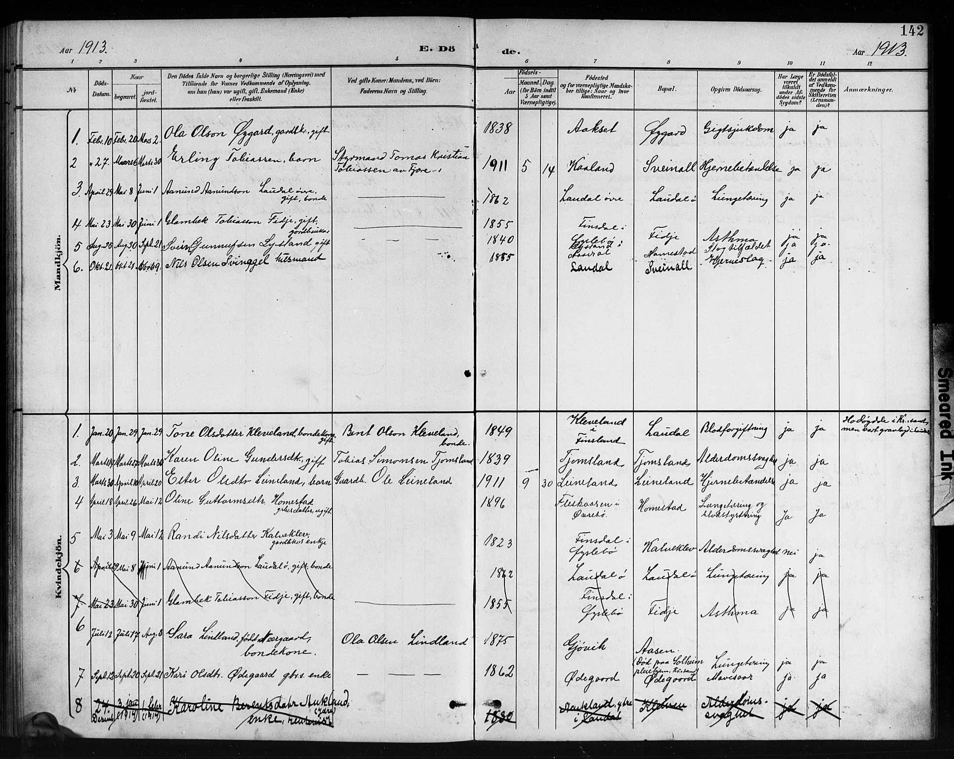 Holum sokneprestkontor, AV/SAK-1111-0022/F/Fb/Fbb/L0004: Parish register (copy) no. B 4, 1899-1920, p. 142