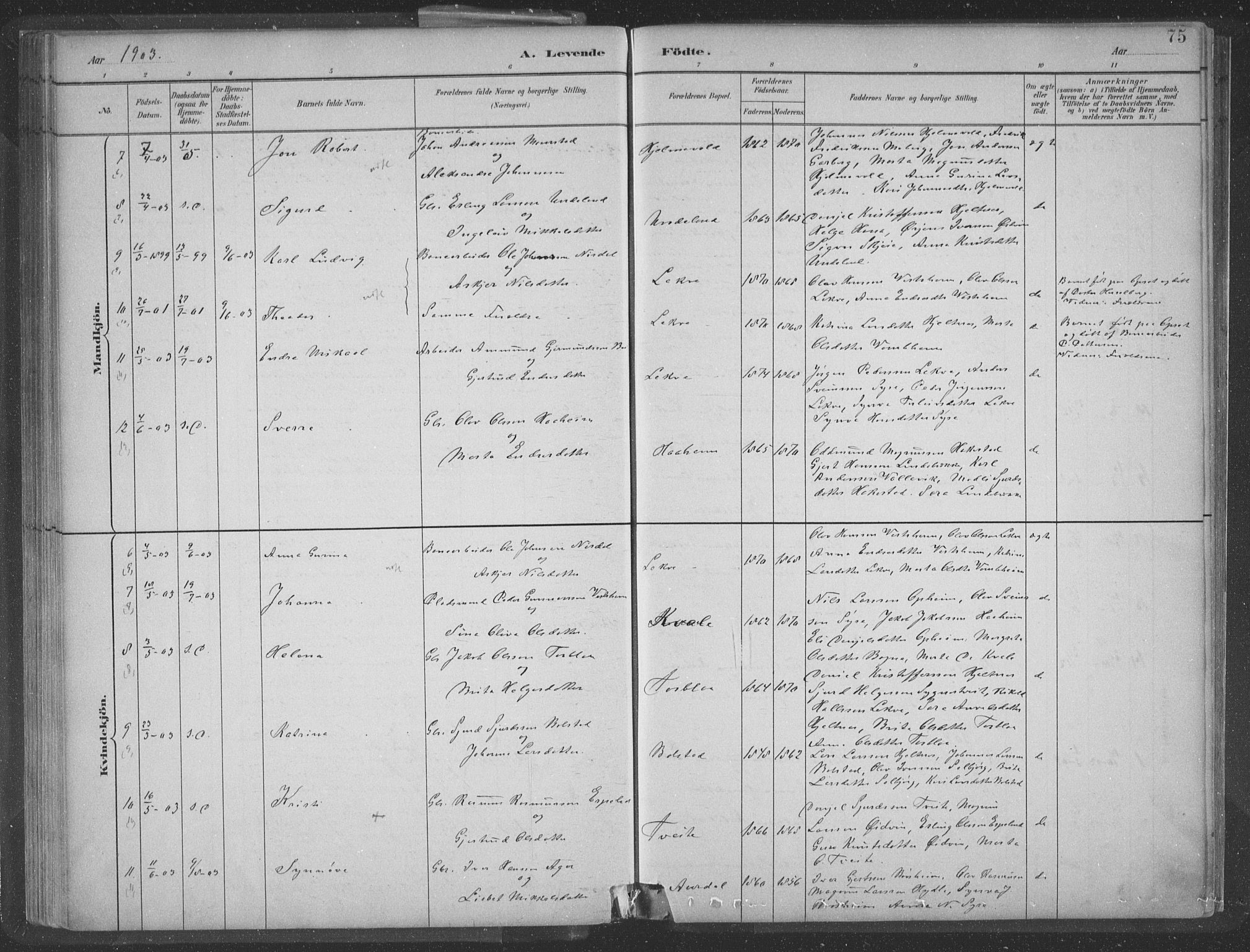 Ulvik sokneprestembete, SAB/A-78801/H/Hab: Parish register (copy) no. A 3, 1883-1908, p. 75